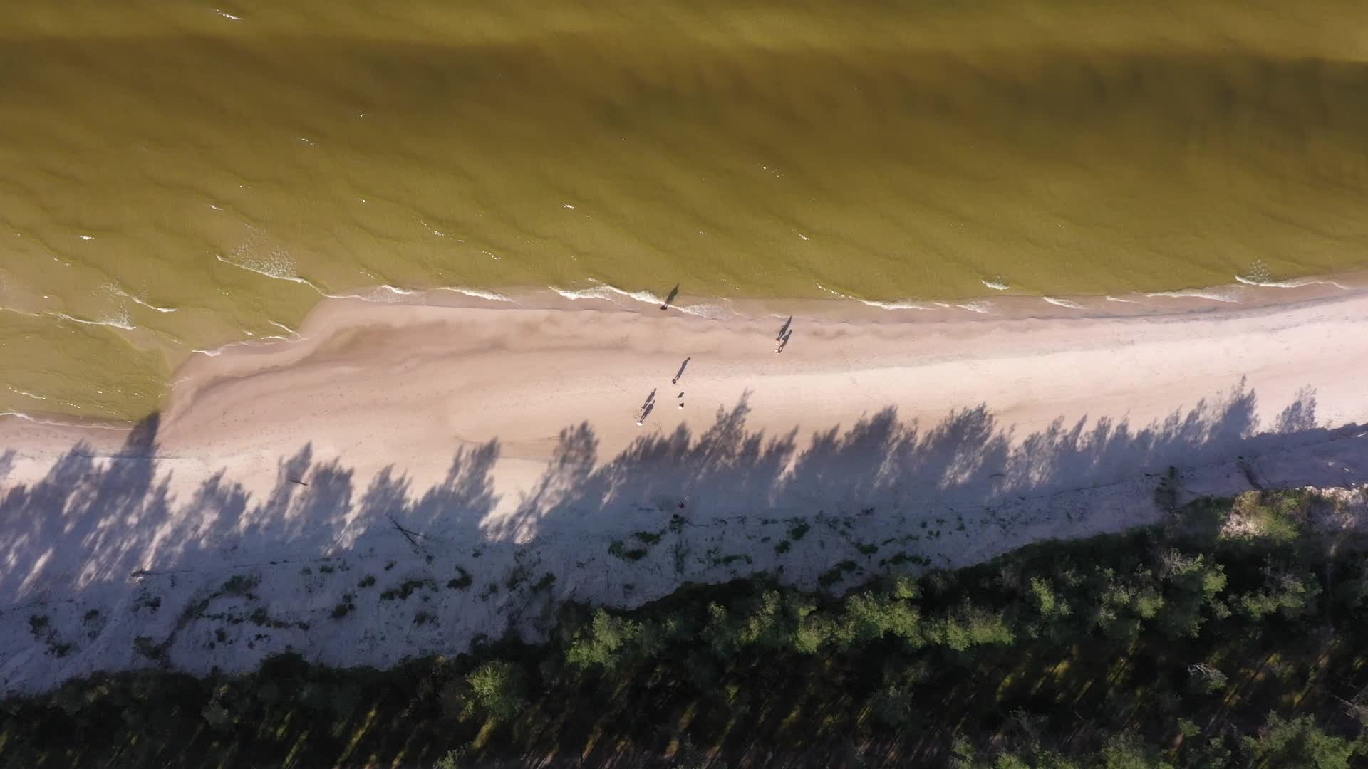 Aerial view of Baltic Sea beach