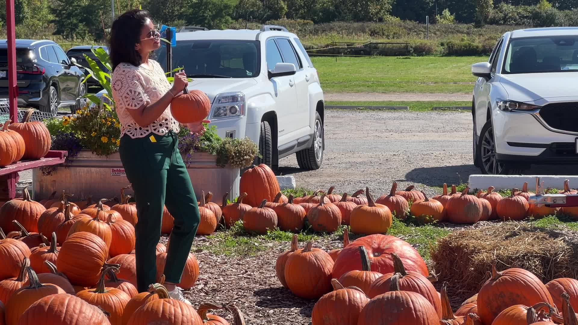 Pumpkins during the Autumn season in Markham, Canada