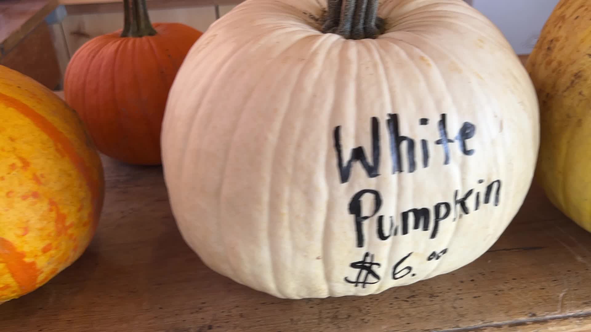 Pumpkins during the Autumn season in Markham, Canada