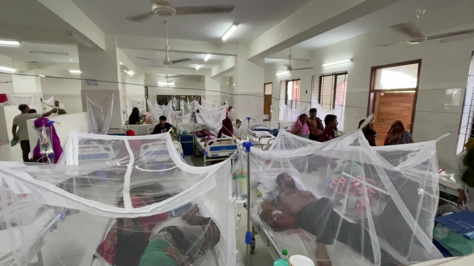 Dengue outbreak in Dhaka