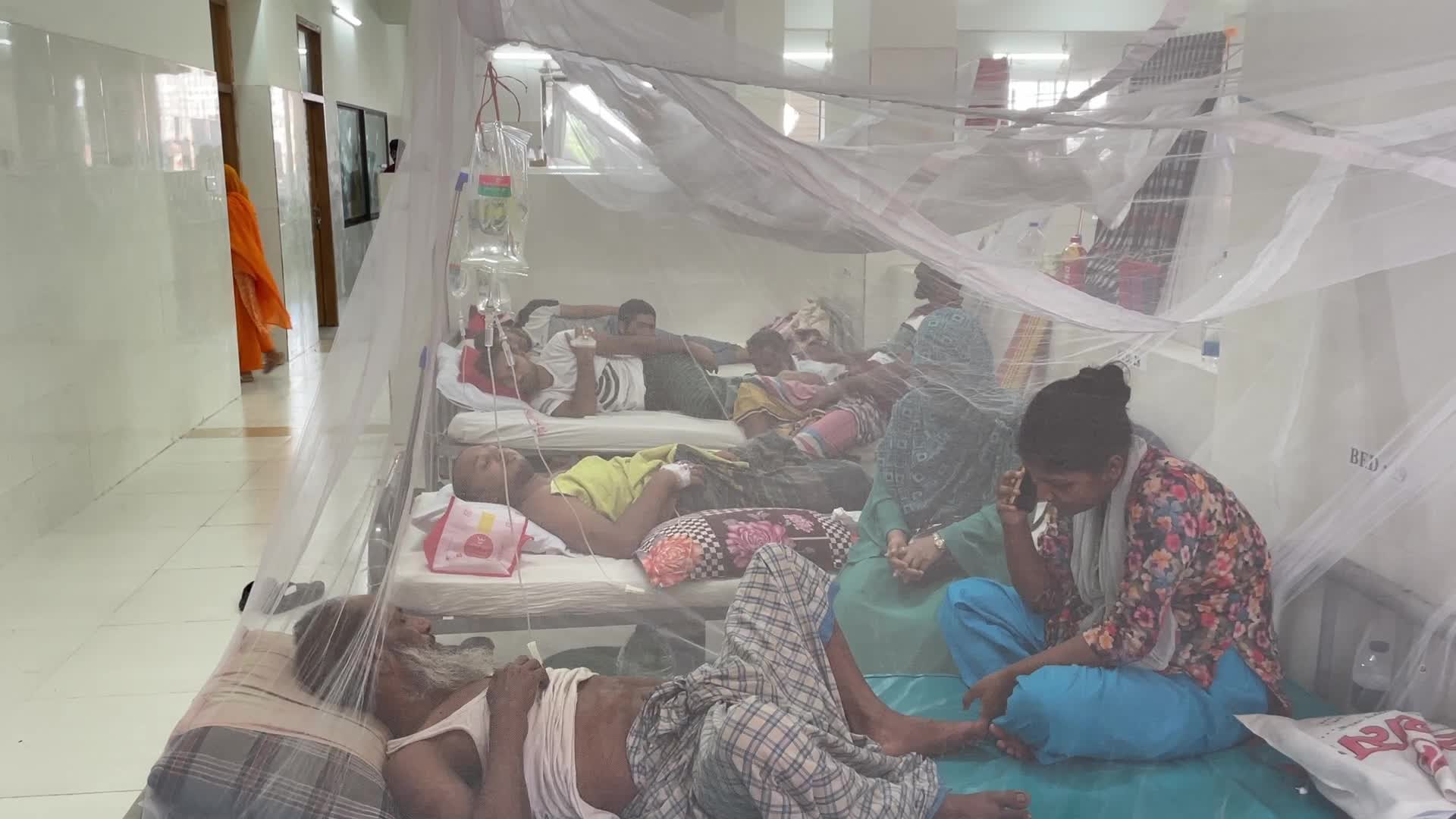Dengue outbreak in Dhaka