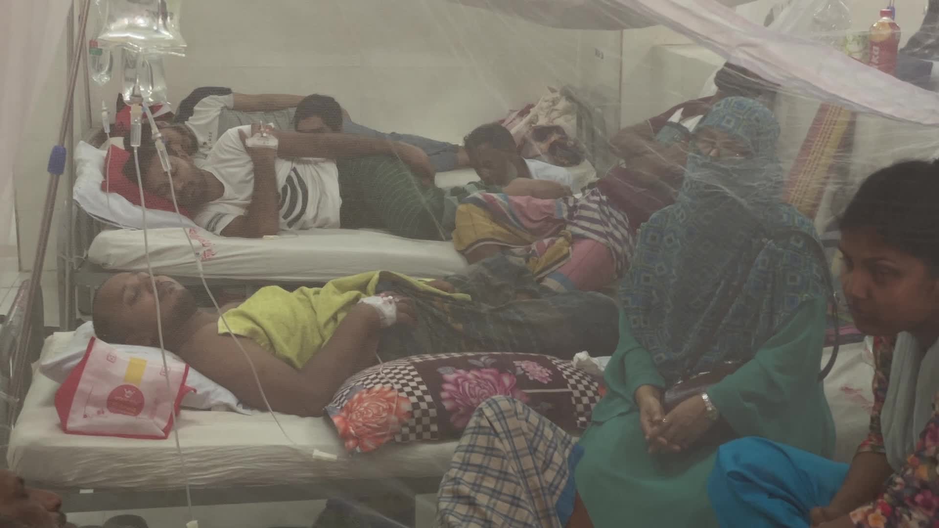 Dengue outbreak in Dhaka
