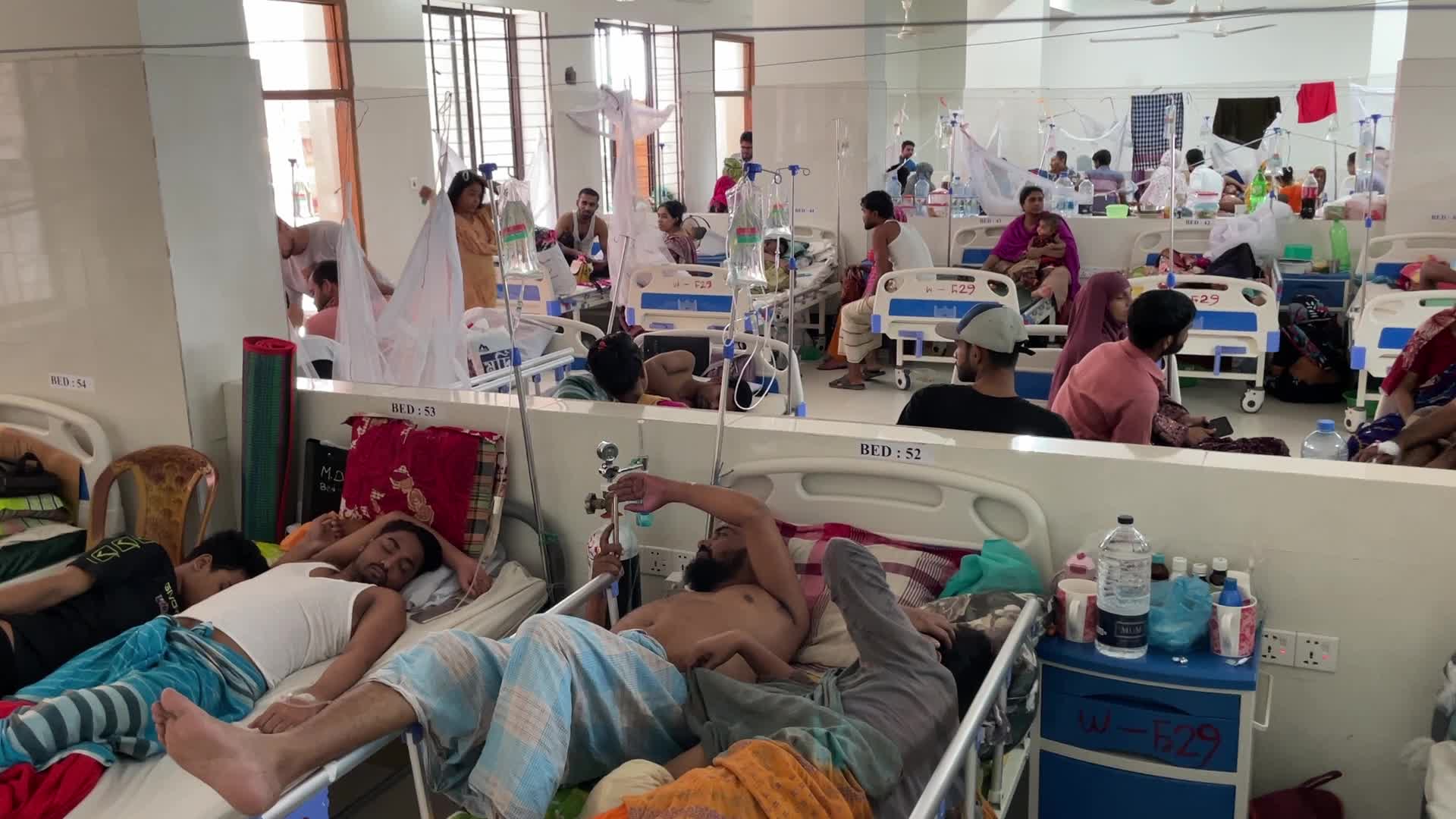 Dengue outbreak in Dhaka