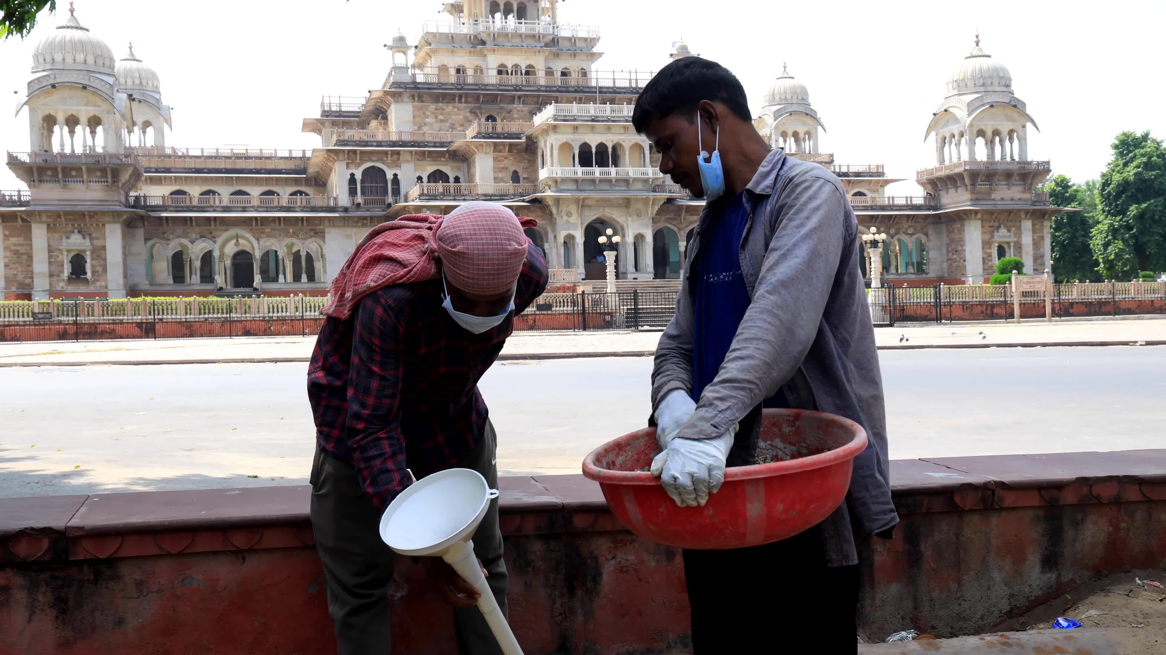2 Days Campaign To Wipe Out Rodents  in Jaipur