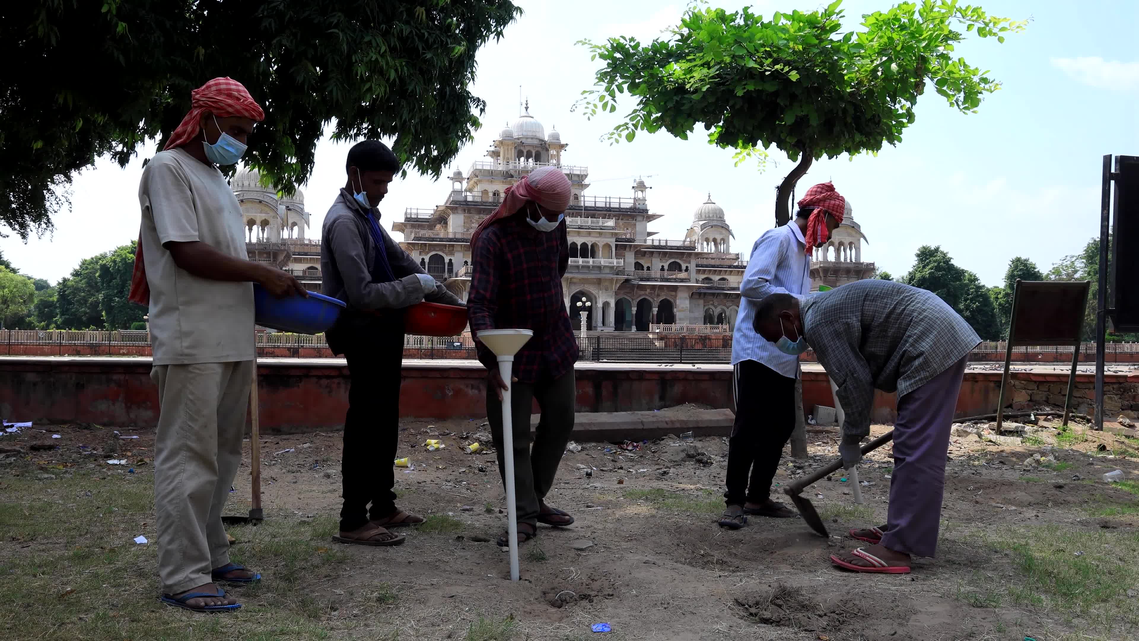 2 Days Campaign To Wipe Out Rodents  in Jaipur