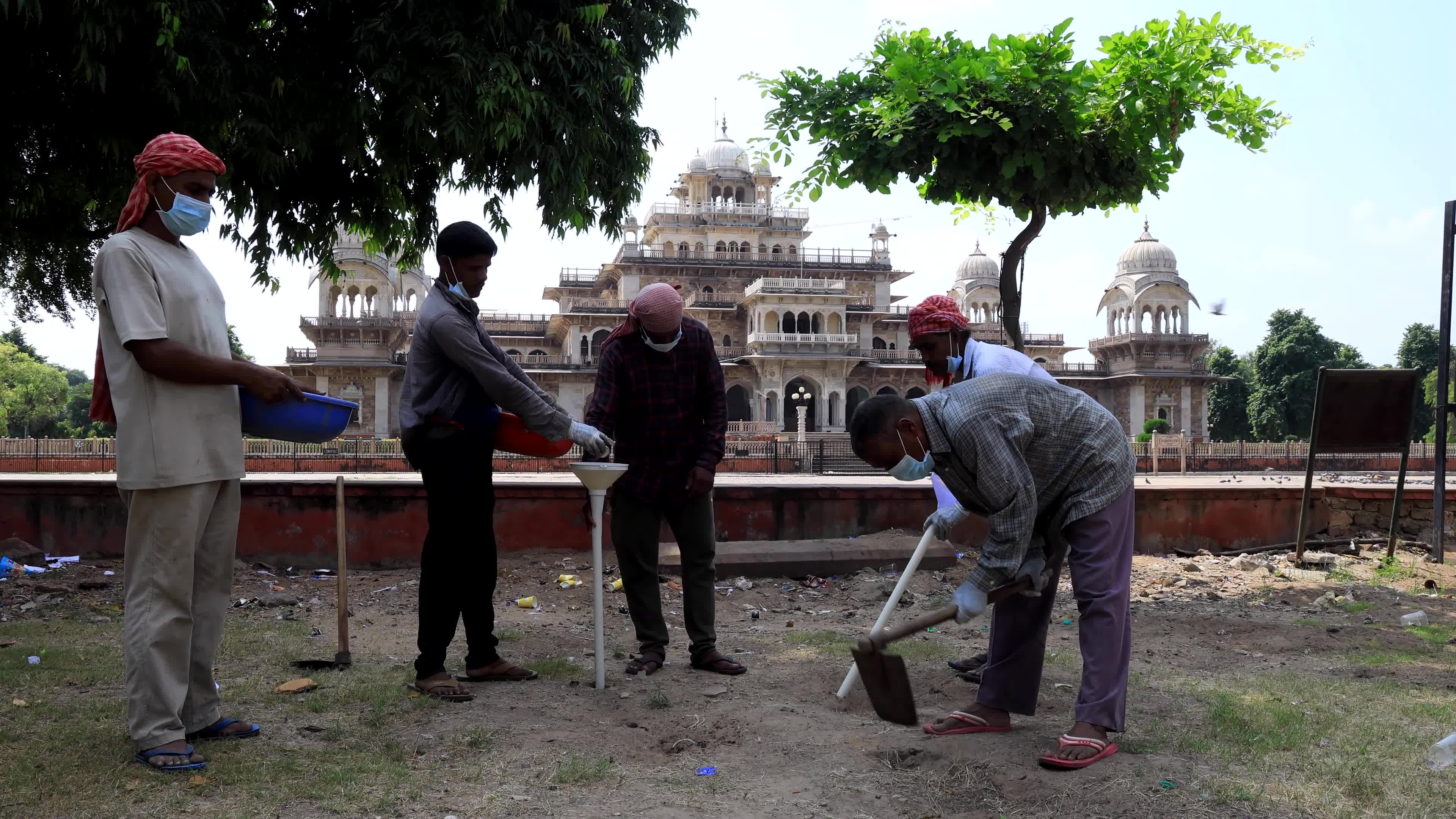 2 Days Campaign To Wipe Out Rodents  in Jaipur