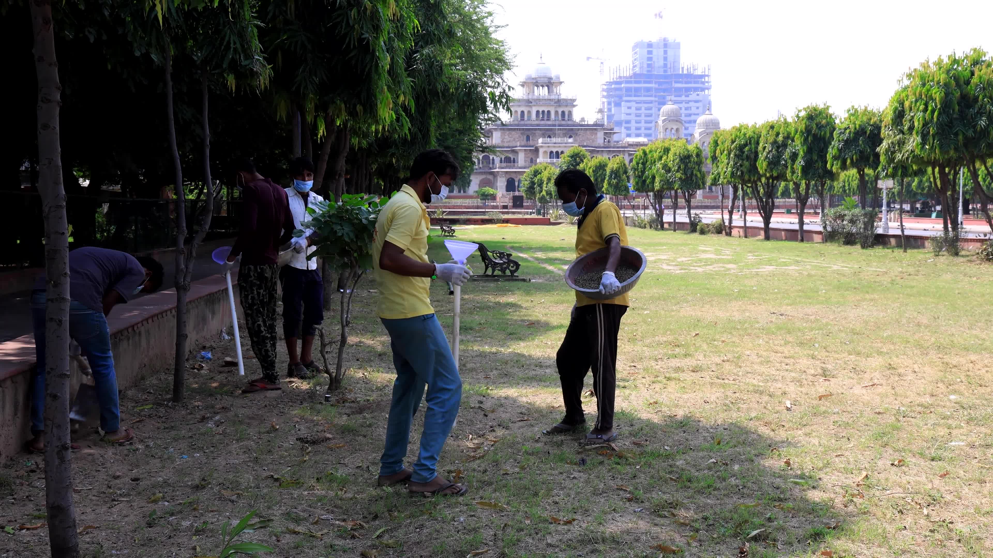2 Days Campaign To Wipe Out Rodents  in Jaipur