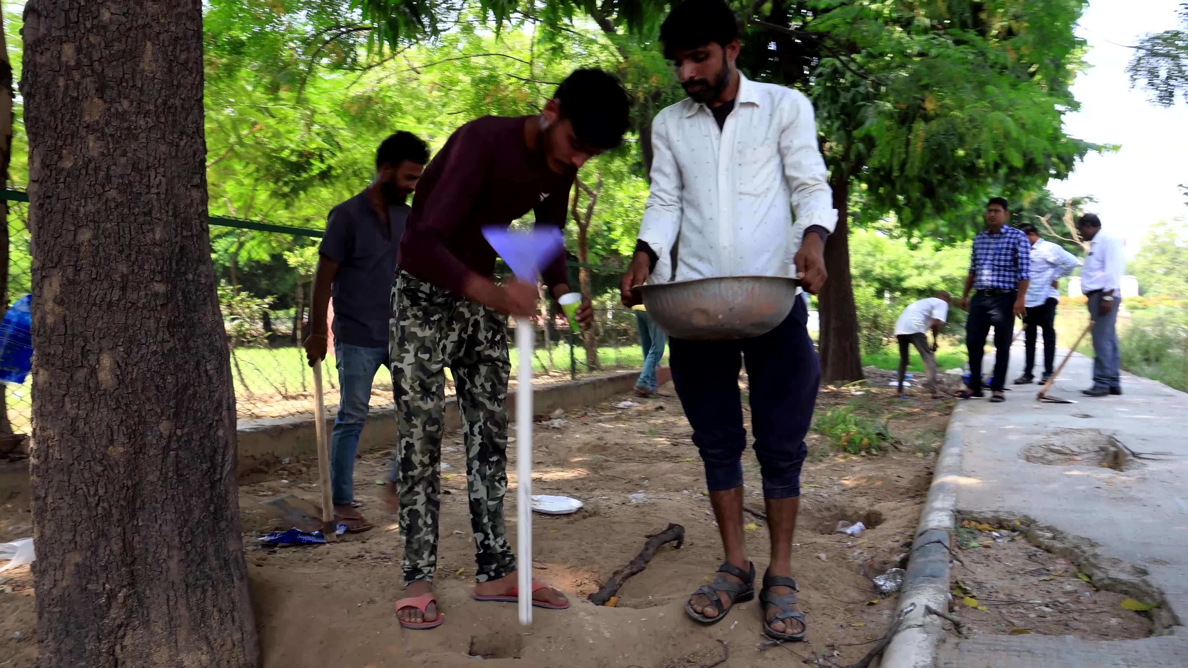 2 Days Campaign To Wipe Out Rodents  in Jaipur