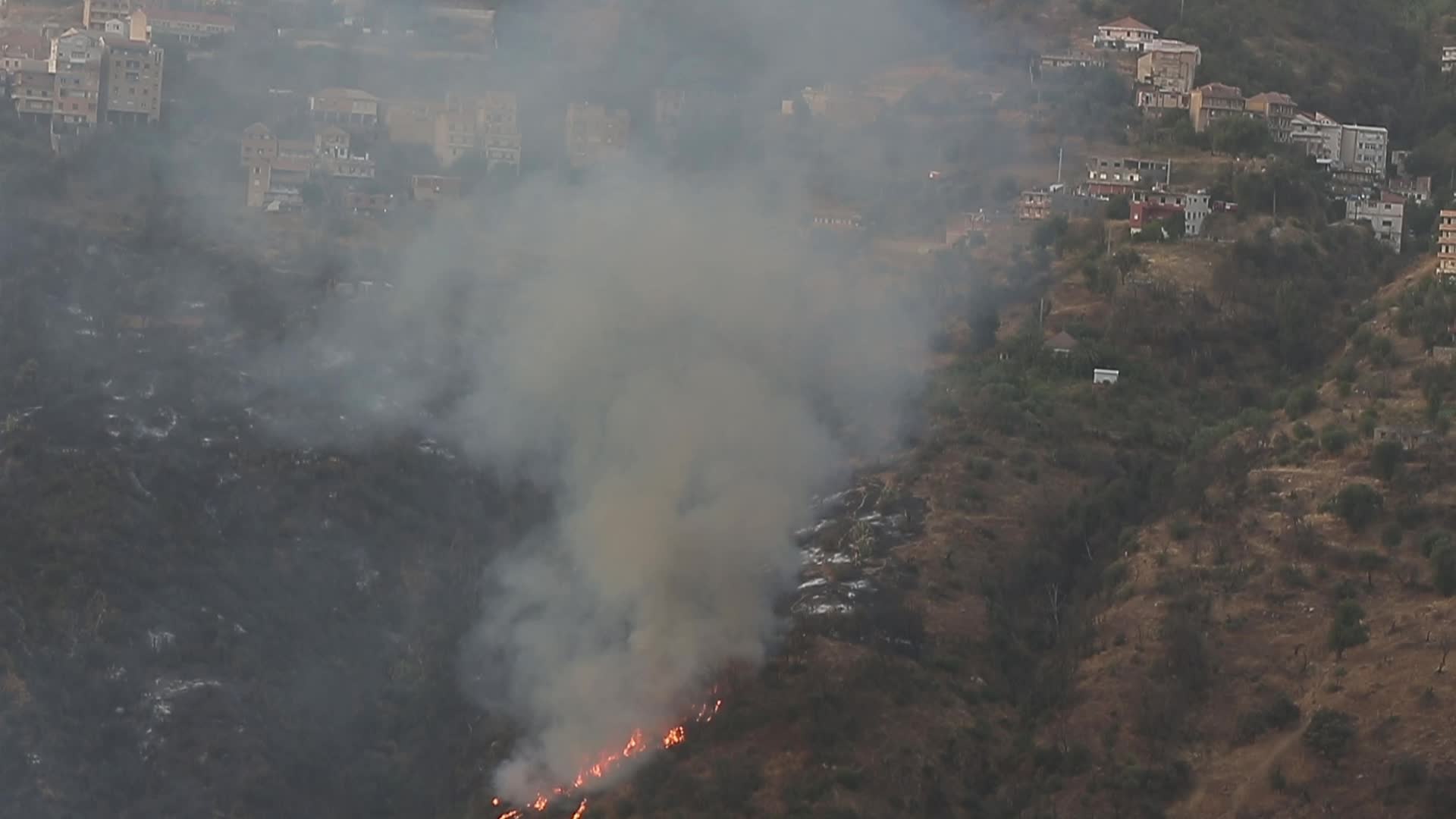 Forest fire In Algeria