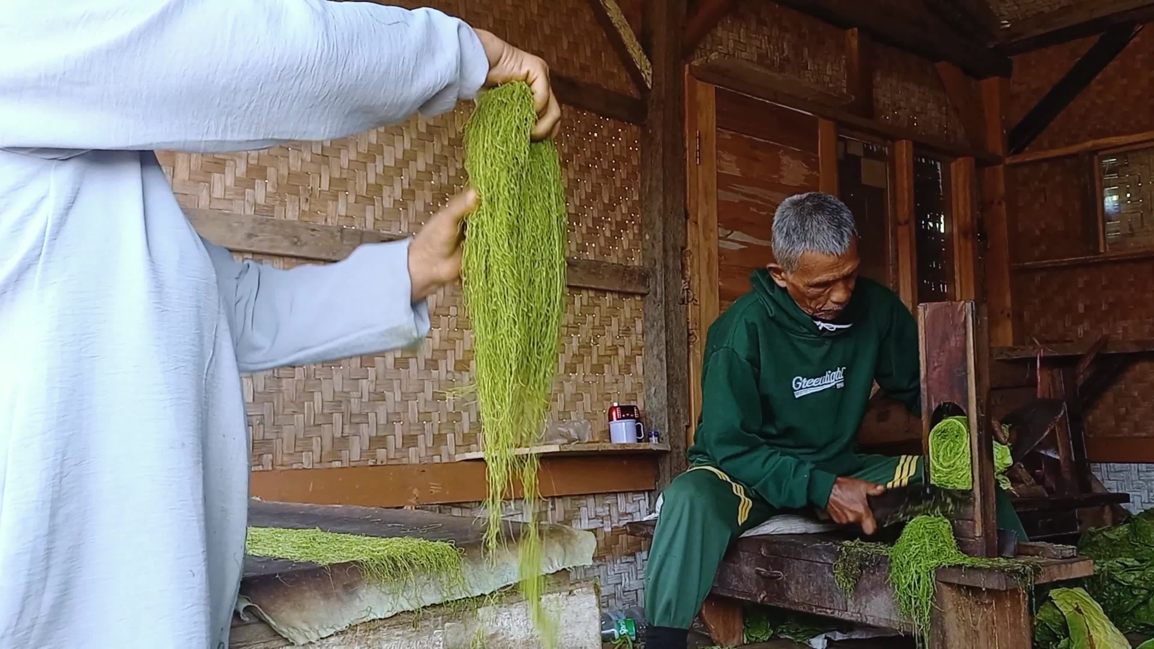 Traditional Tobacco Process In Sumedang West Java Indonesia - 10/04/2024 