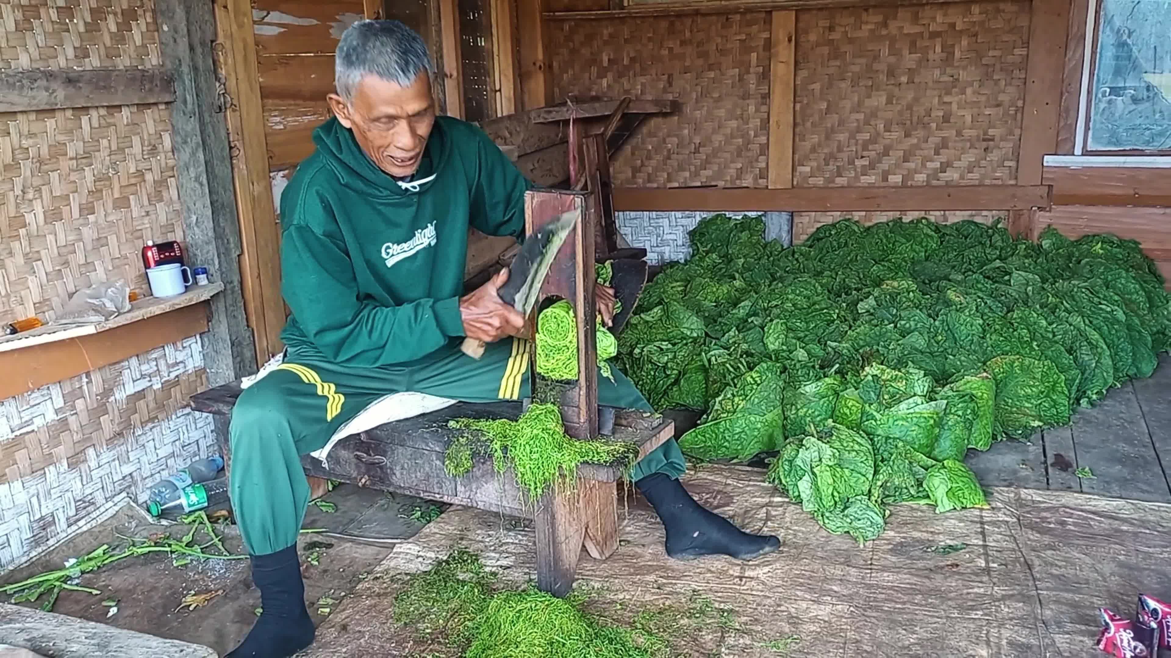 Traditional Tobacco Process In Sumedang West Java Indonesia - 10/04/2024 