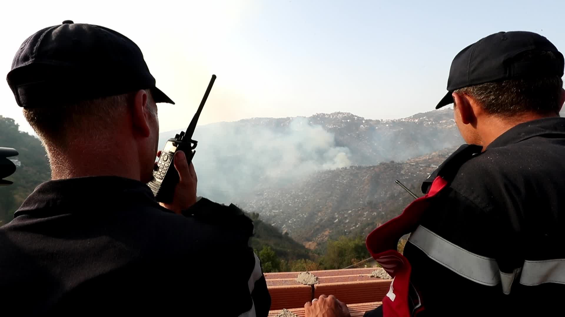 Forest fire In Algeria