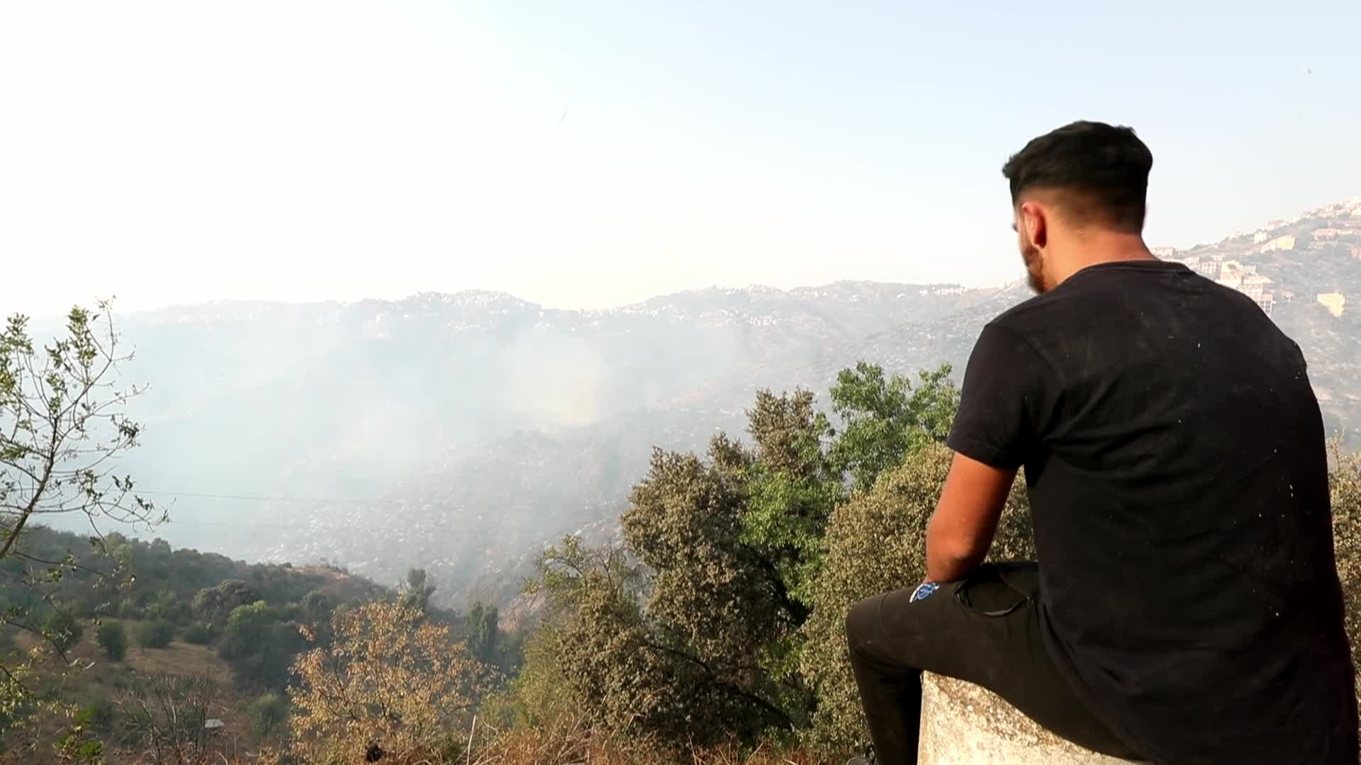 Forest fire In Algeria