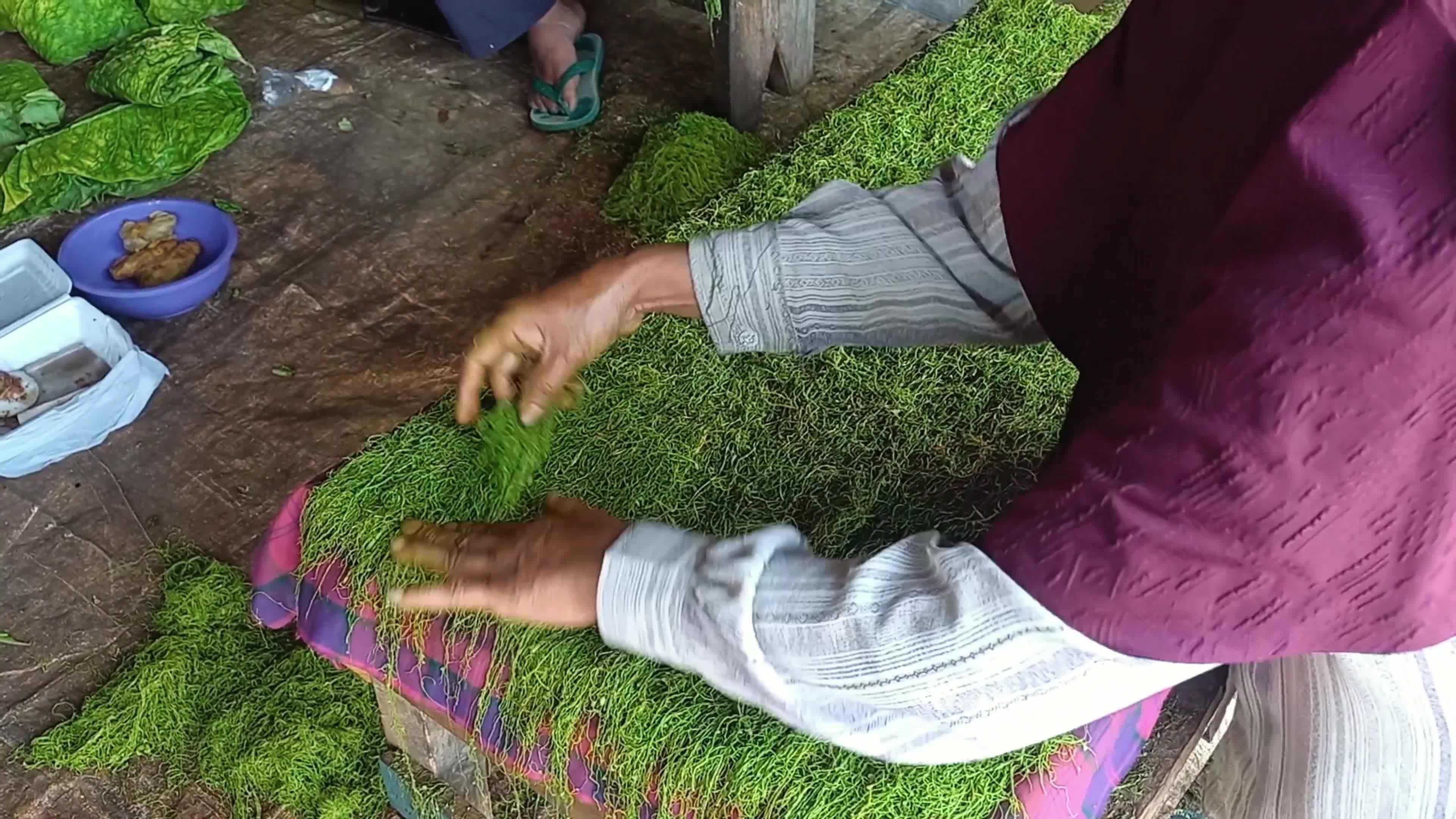 Traditional Tobacco Process In Sumedang West Java Indonesia - 10/04/2024 
