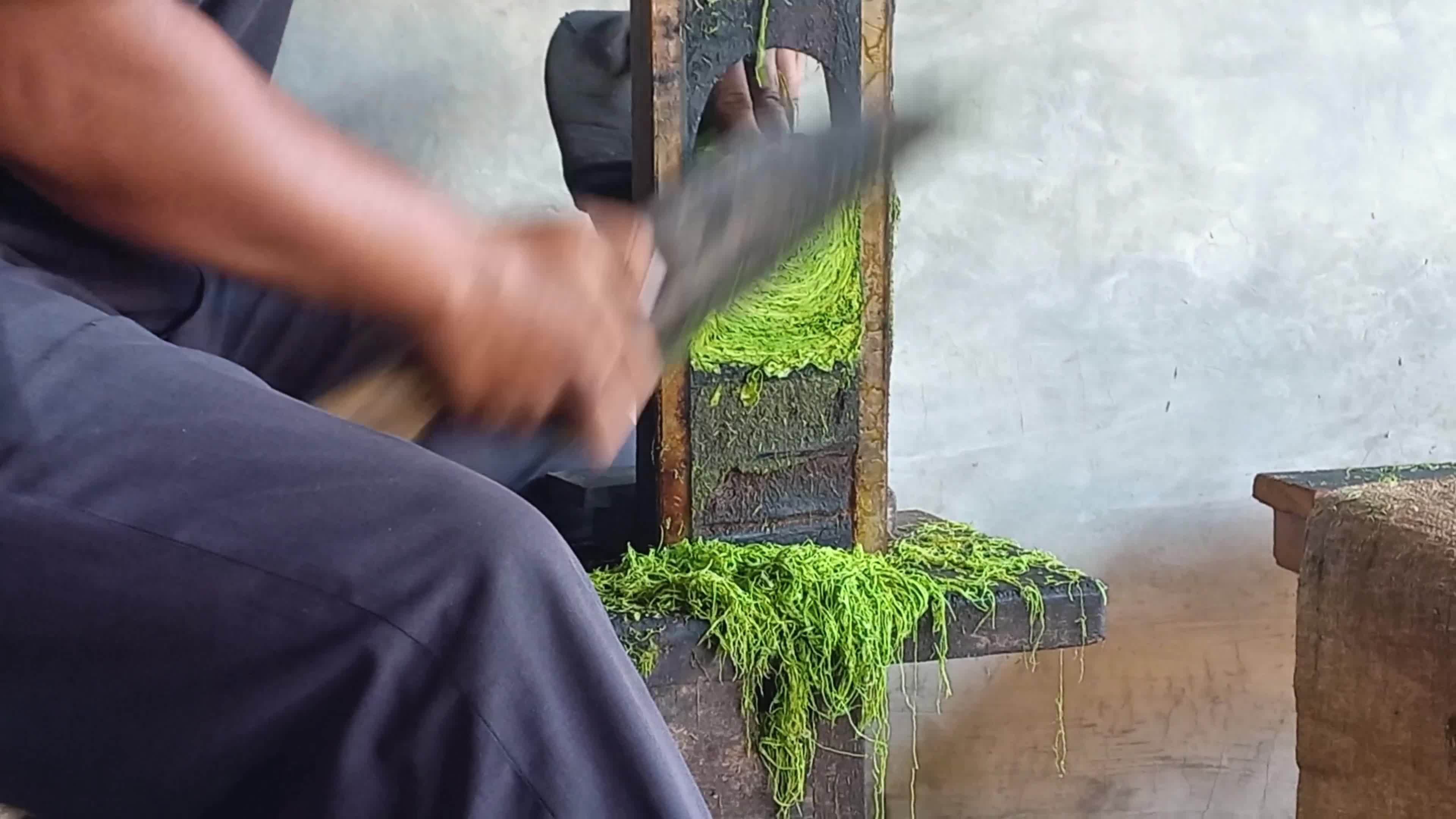 Traditional Tobacco Process In Sumedang West Java Indonesia - 10/04/2024 