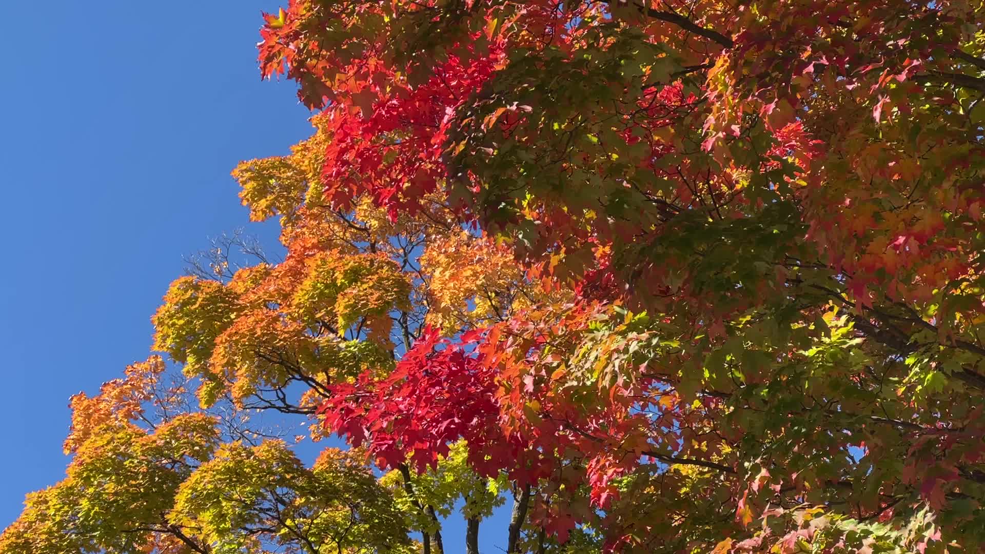 Autumn season in Canada
