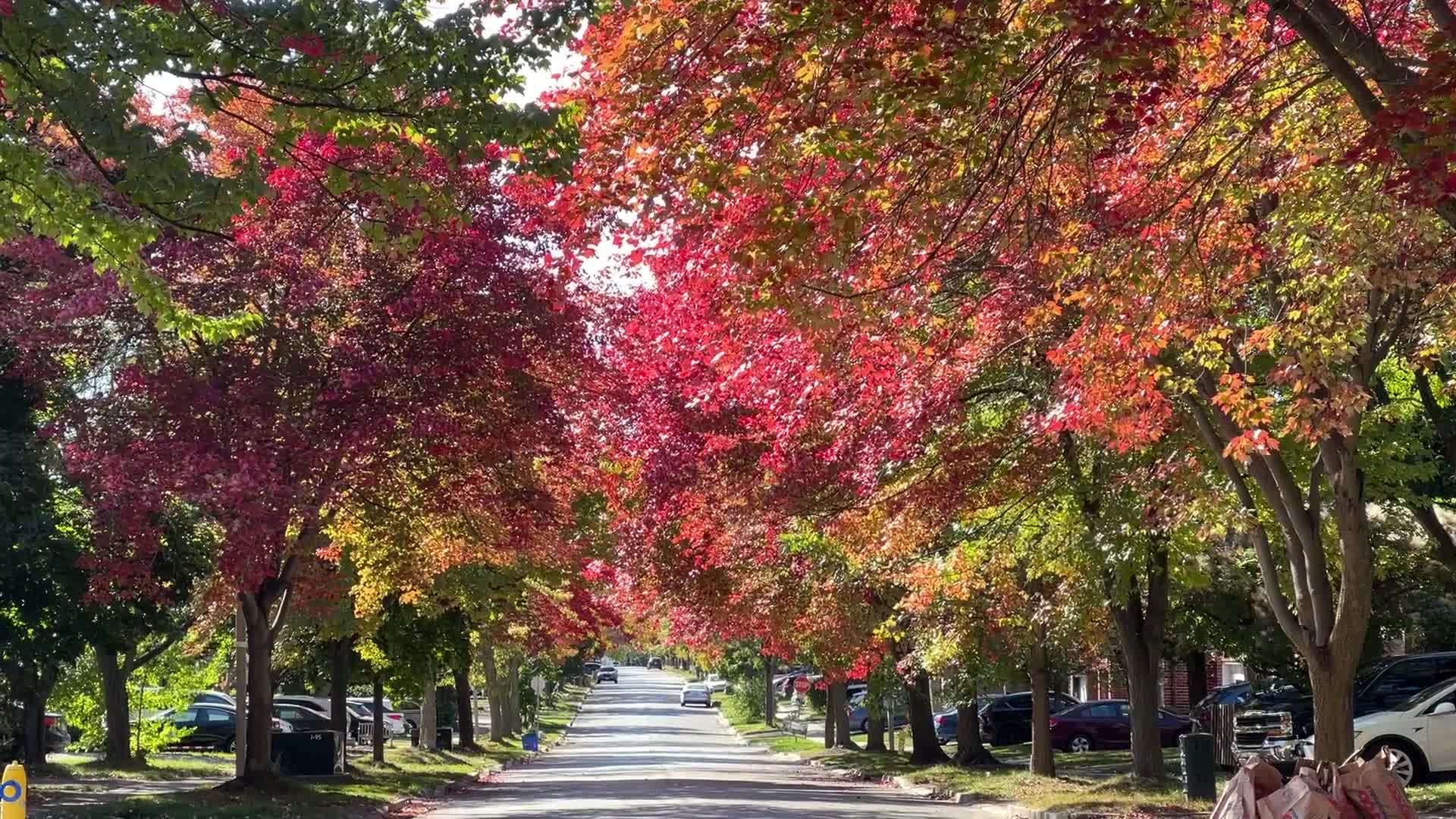 Autumn season in Canada