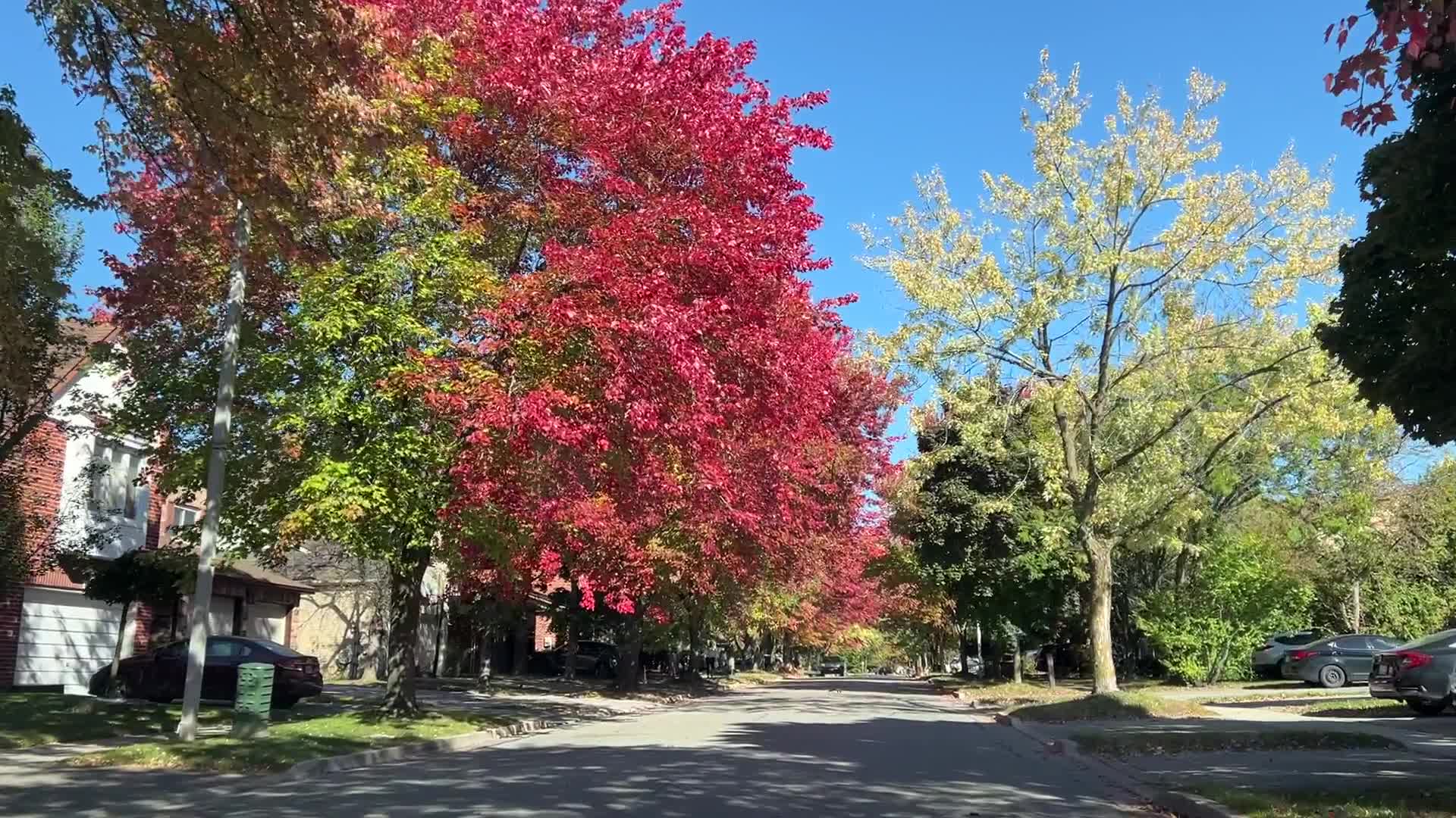 Autumn season in Canada