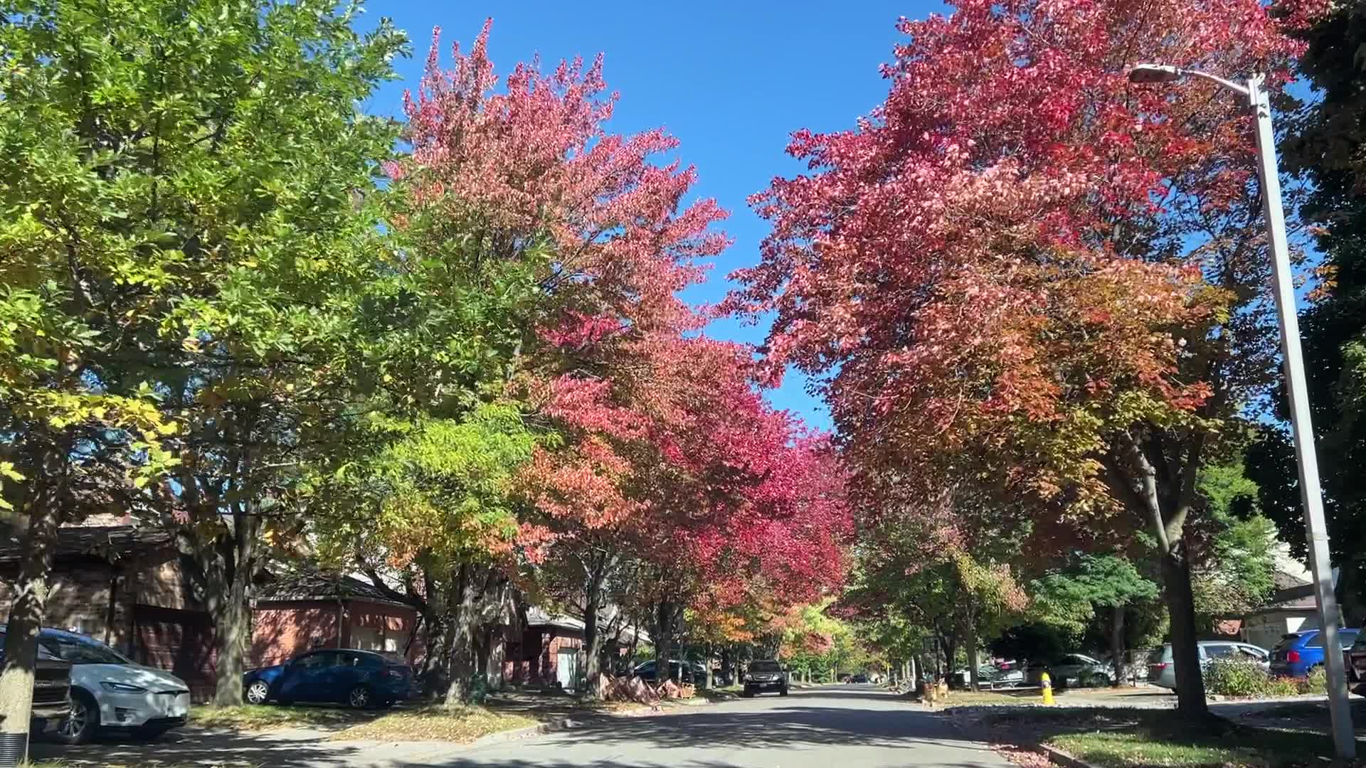 Autumn season in Canada