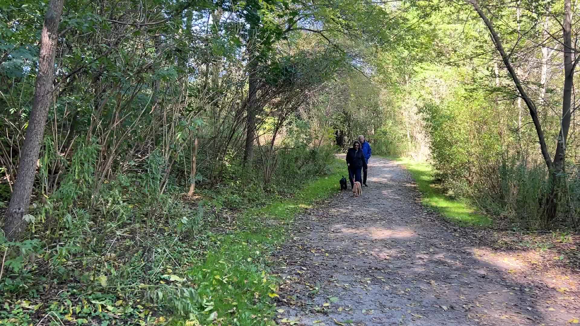 Unseasonably warm weather in Southern Ontario