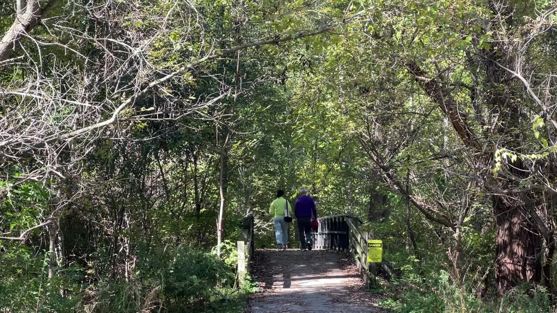 Unseasonably warm weather in Southern Ontario