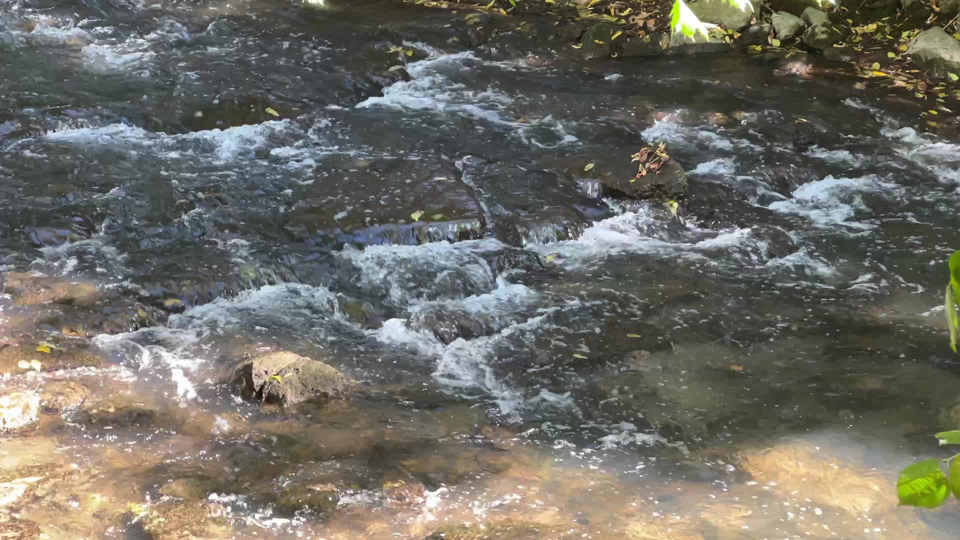 Unseasonably warm weather in Southern Ontario