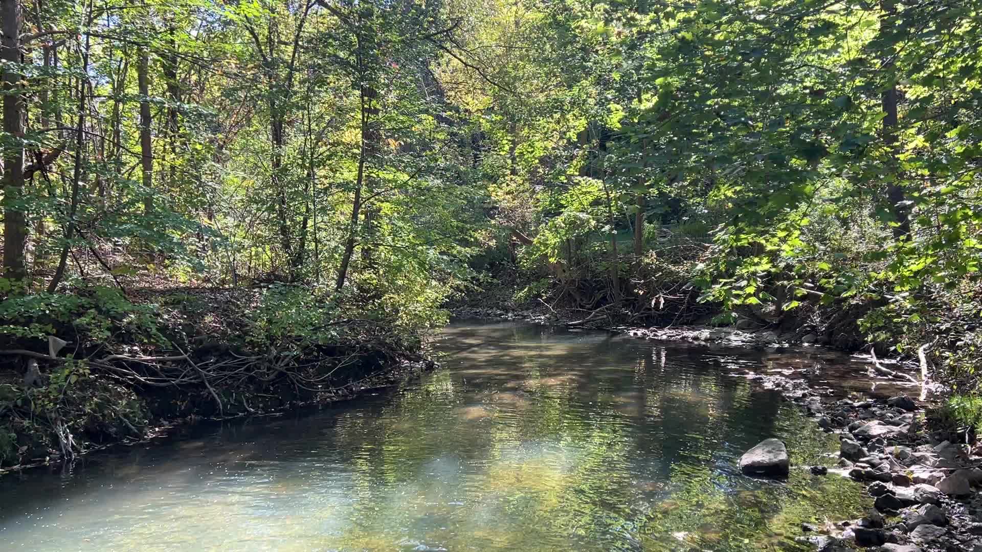 Unseasonably warm weather in Southern Ontario