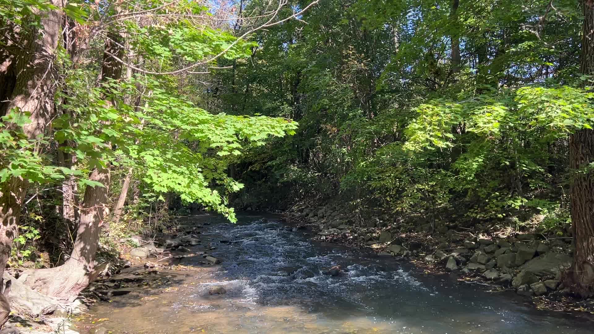 Unseasonably warm weather in Southern Ontario