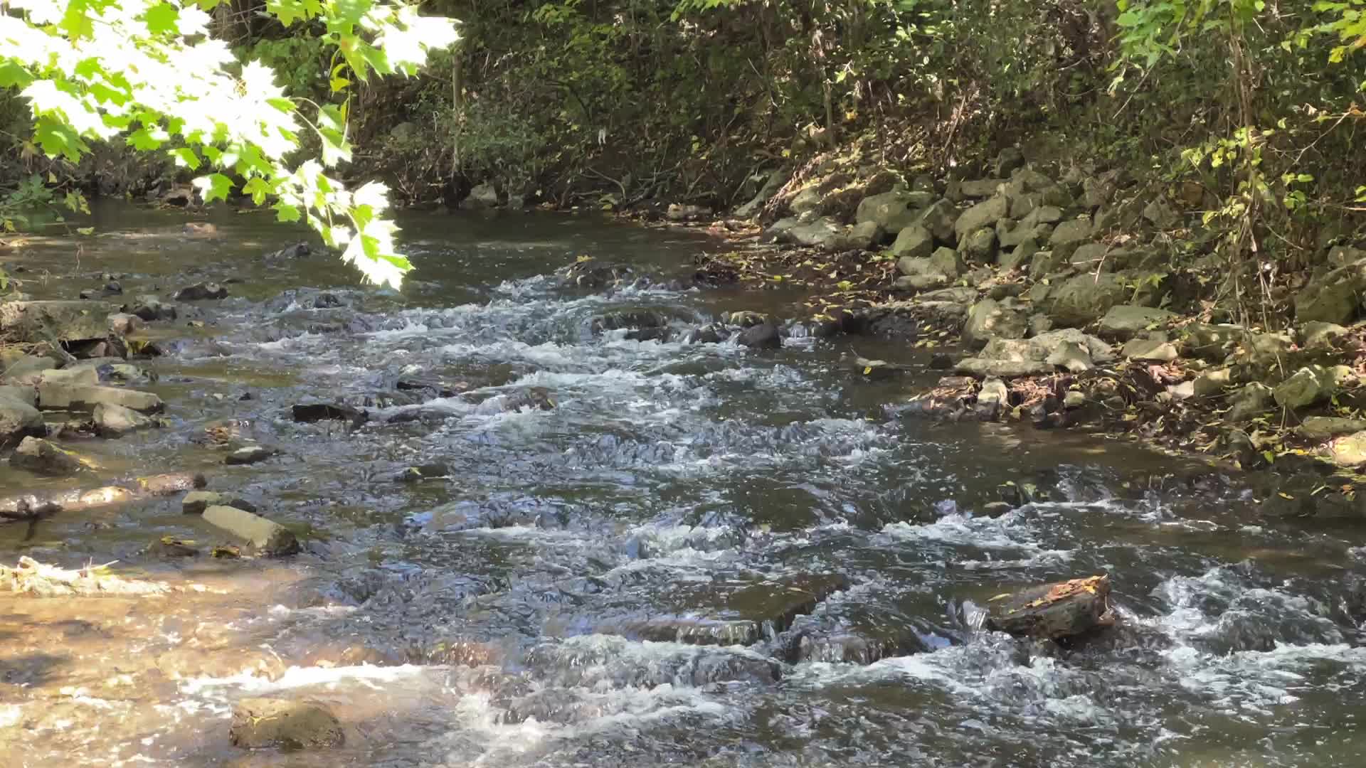Unseasonably warm weather in Southern Ontario