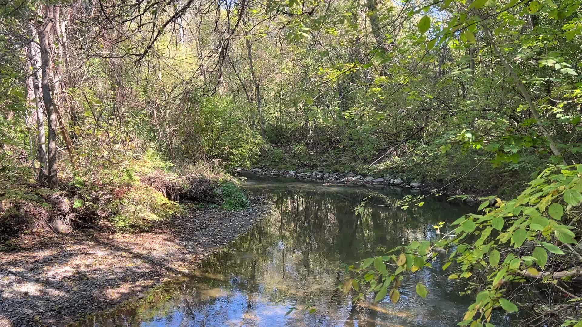Unseasonably warm weather in Southern Ontario