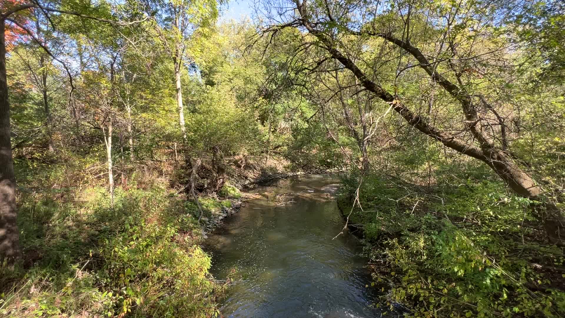 Unseasonably warm weather in Southern Ontario