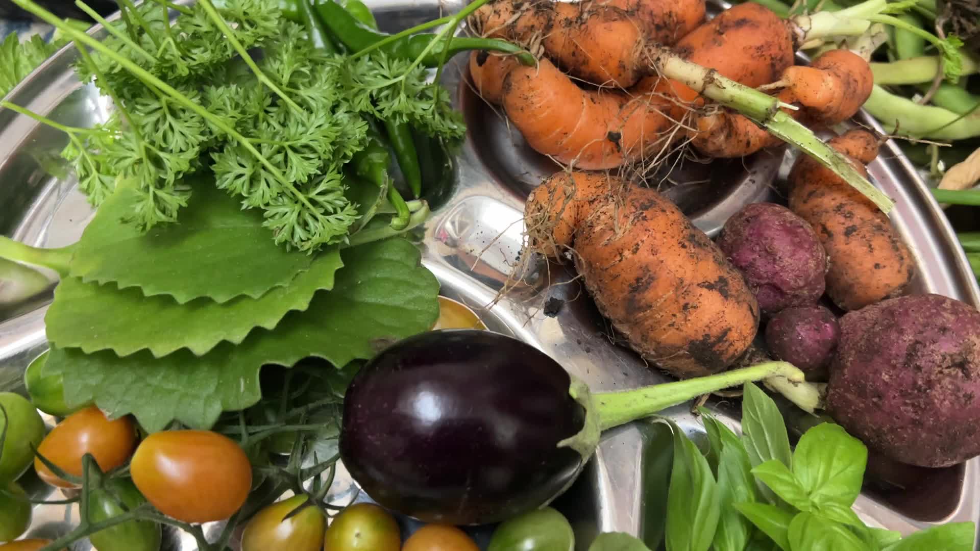 Agriculture in Canada