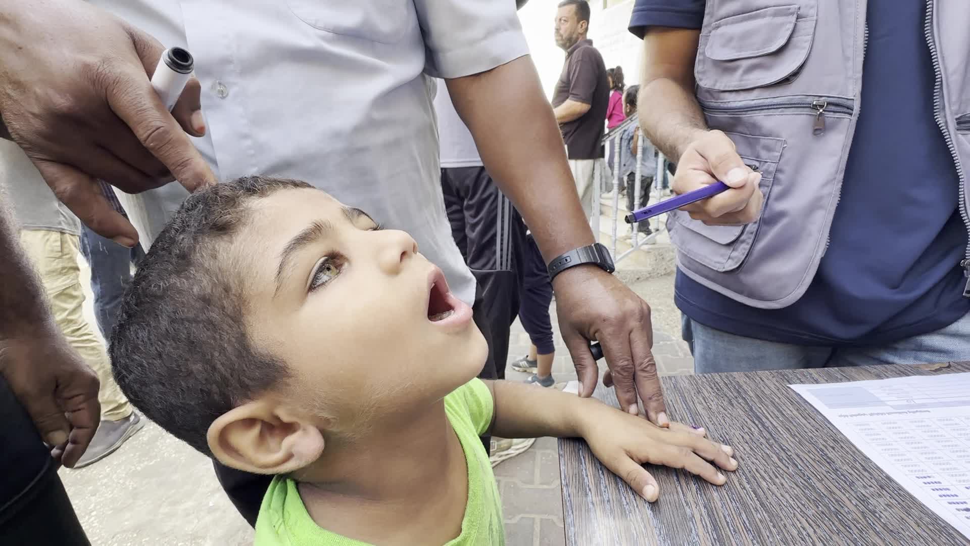 Polio Vaccination In Gaza, Palestine