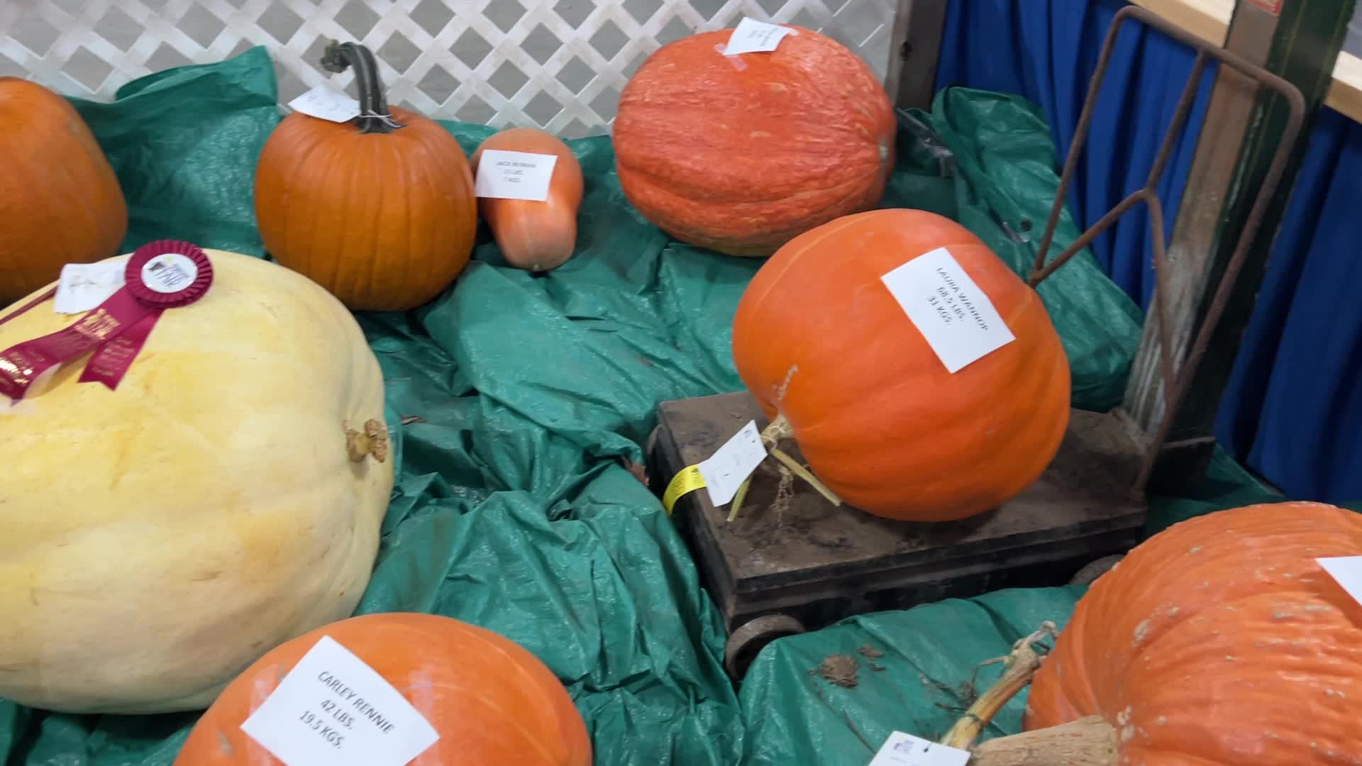 180th annual Markham Fall Fair