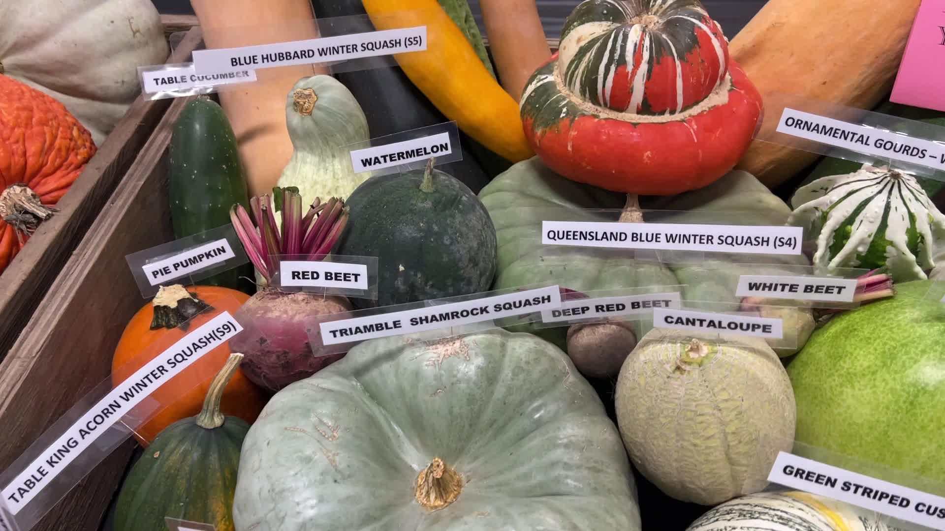 180th annual Markham Fall Fair