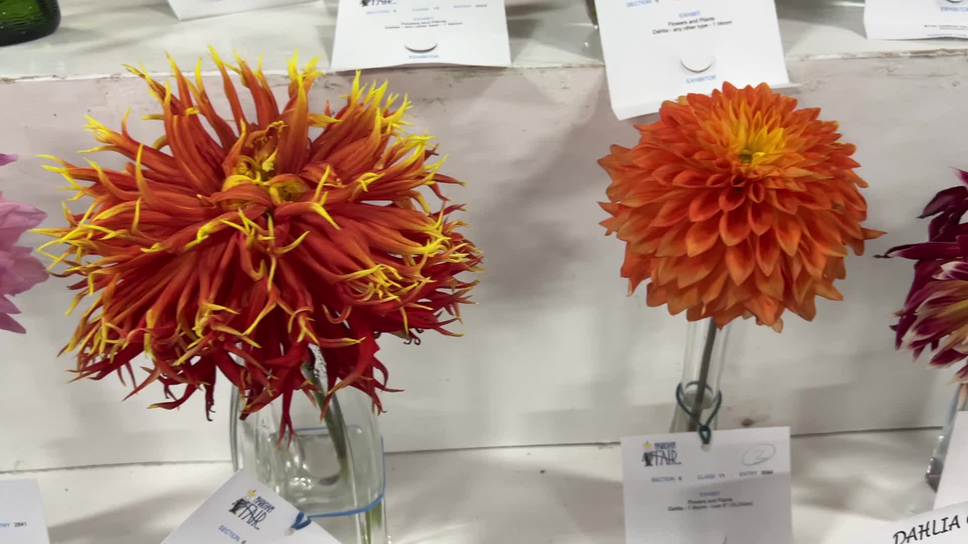 180th annual Markham Fall Fair