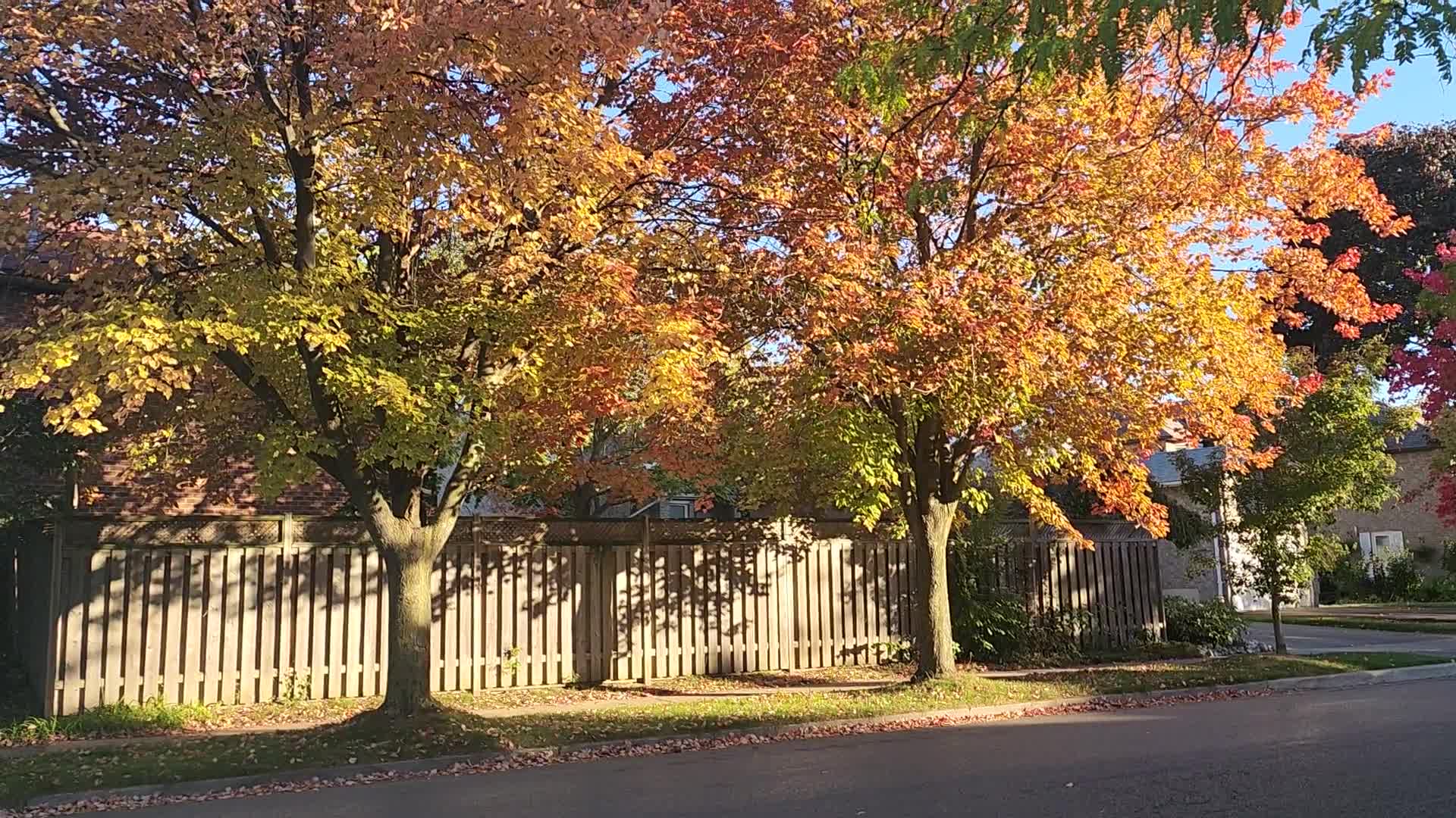 Autumn in Toronto, Canada
