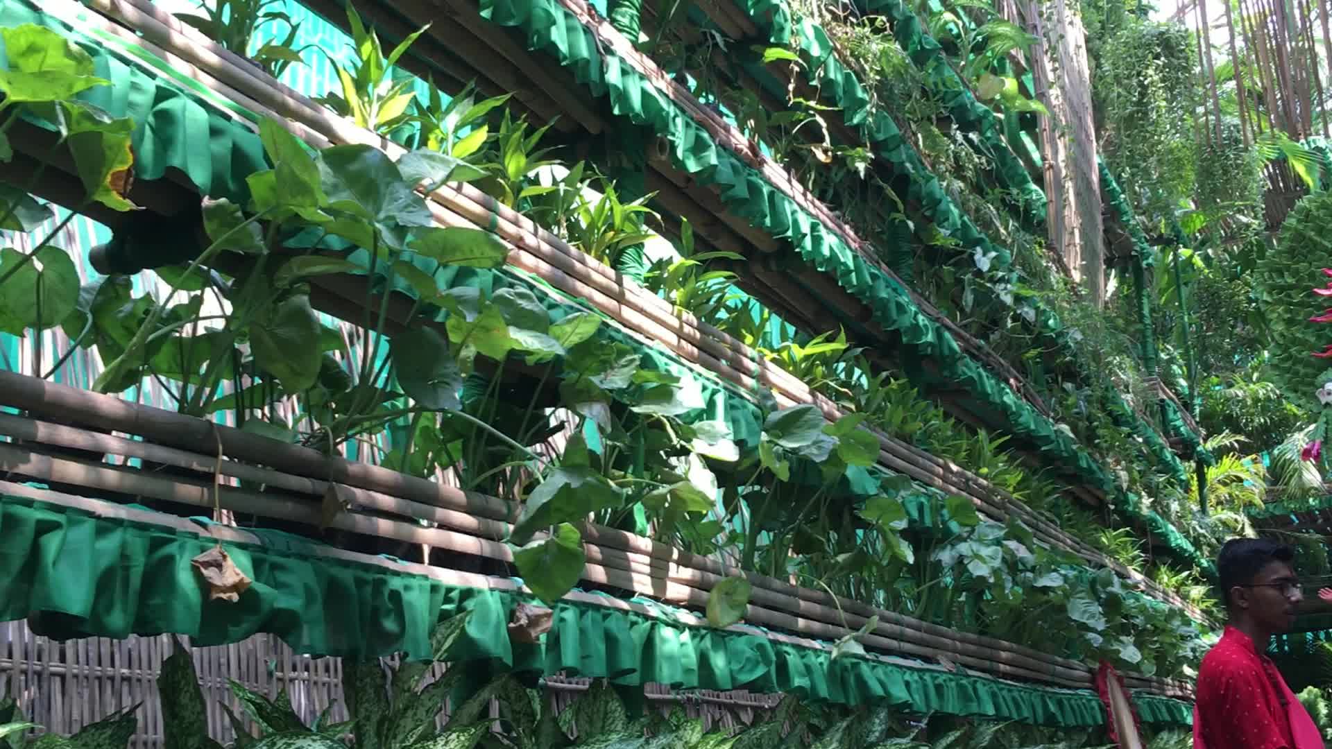 Environmental awareness in Durga Puja