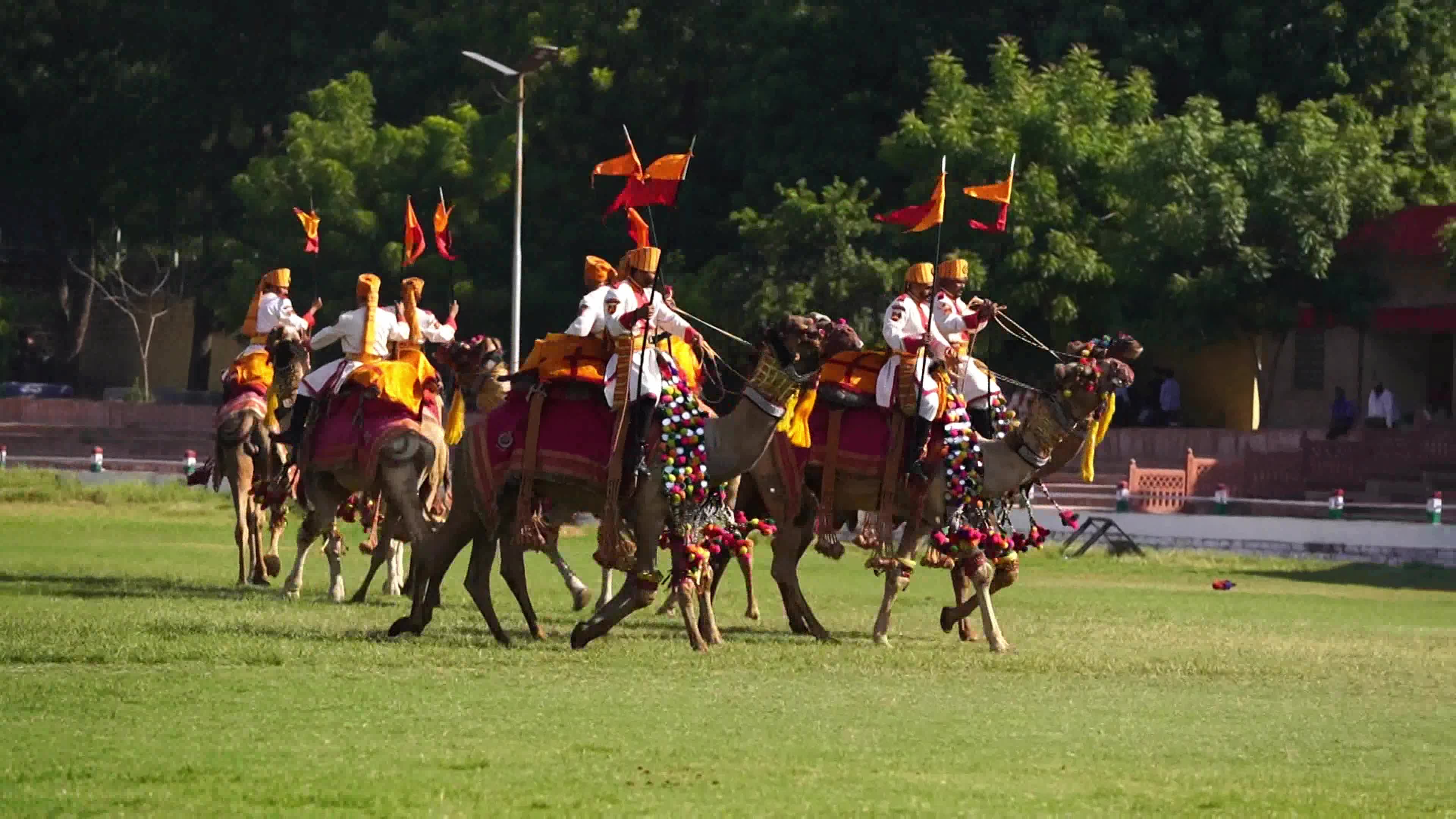 Marwar Festival Celebration 