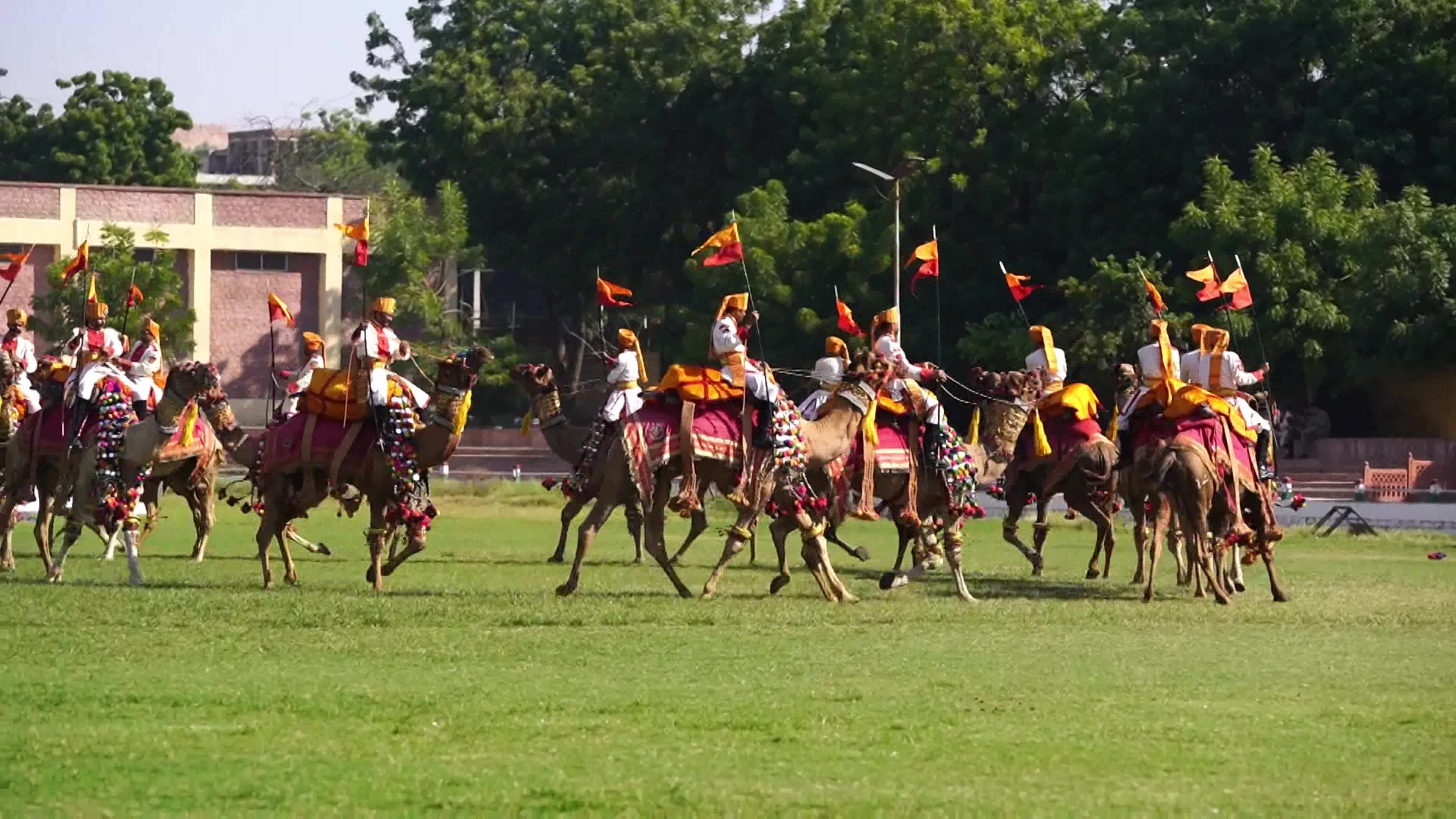 Marwar Festival Celebration 
