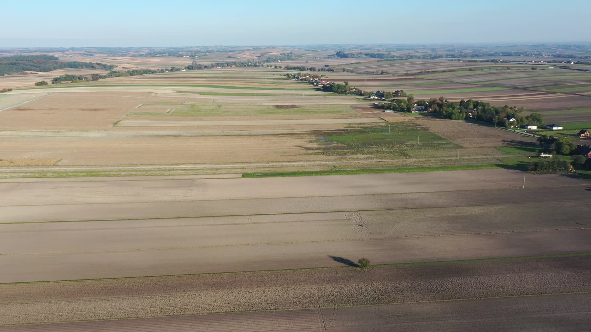 Autumn season in agriculture in Poland