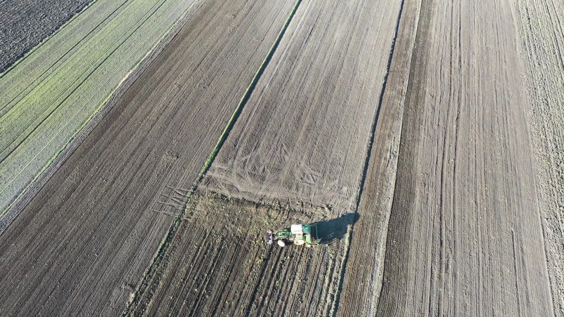 Autumn season in agriculture in Poland