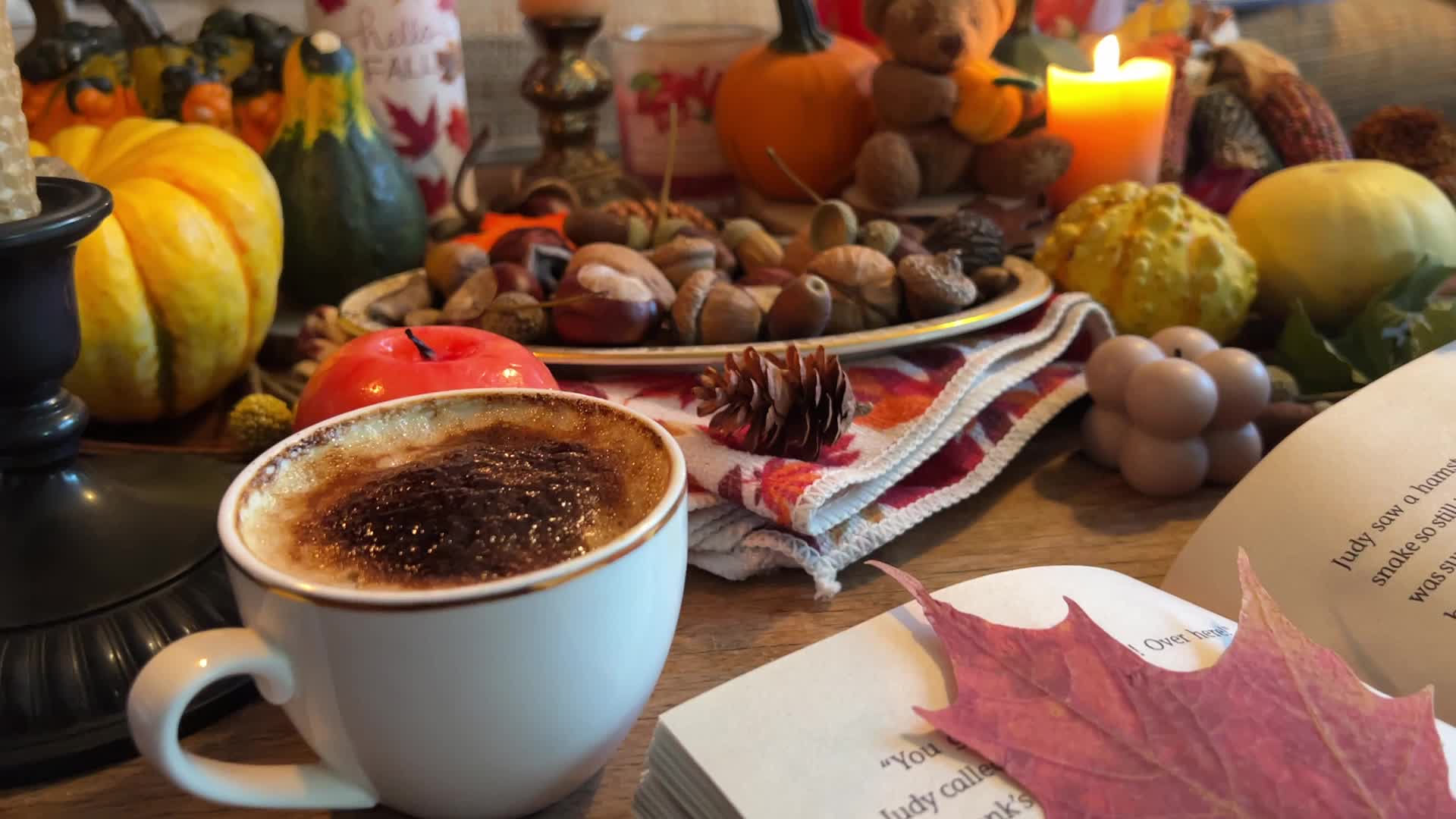 Autumn season setting in Toronto, Canada
