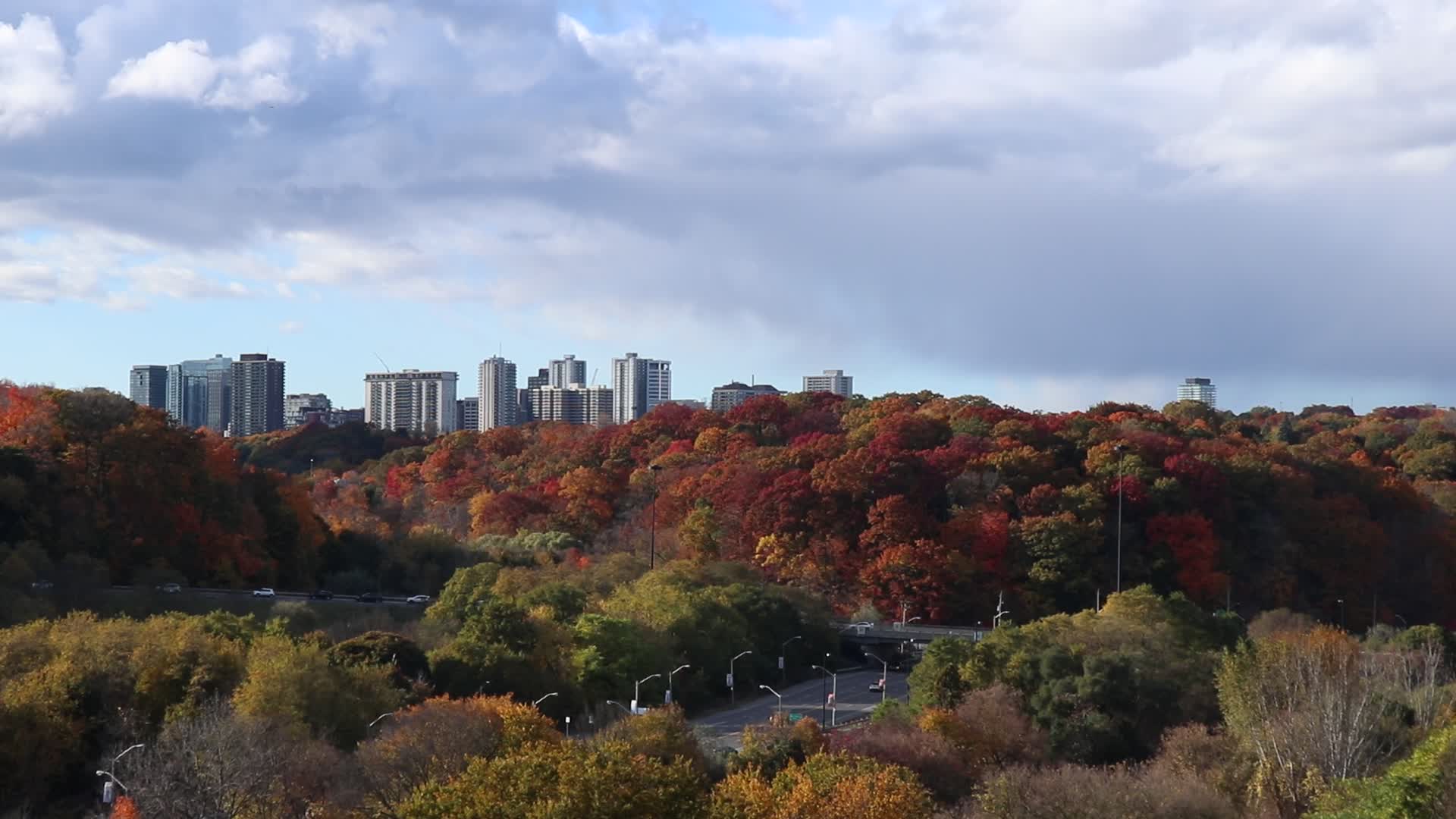 Autumn Weather In Toronto, Canada