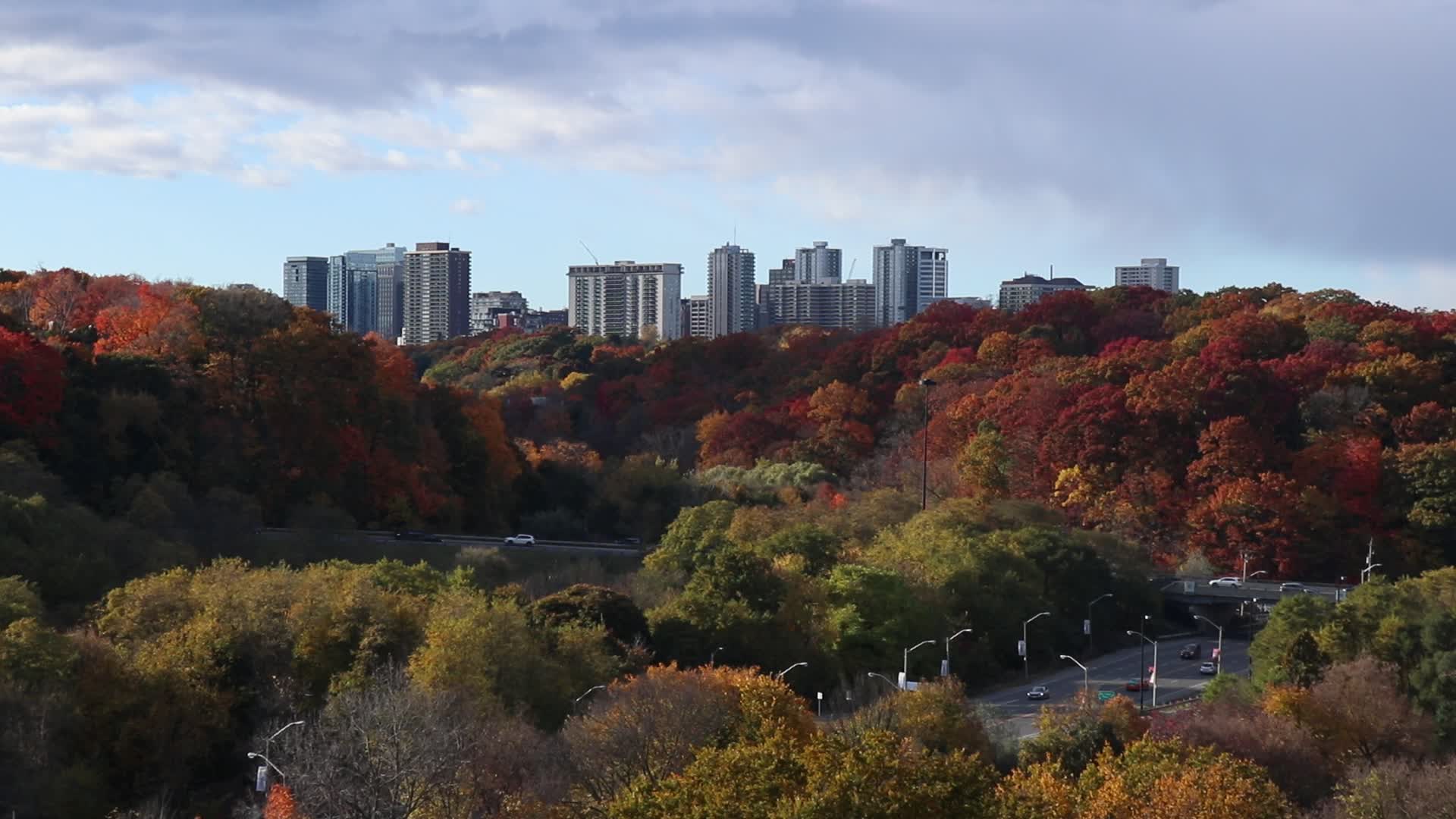 Autumn Weather In Toronto, Canada