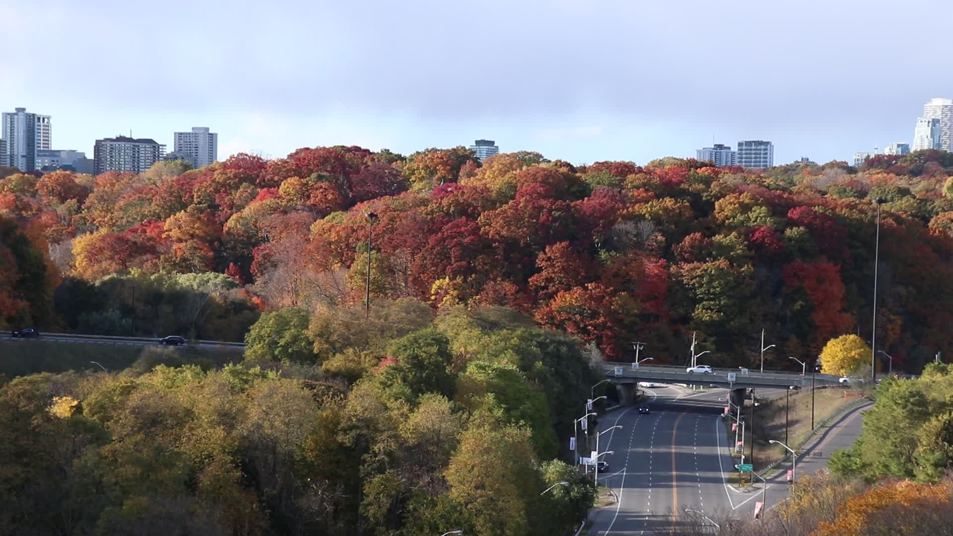 Autumn Weather In Toronto, Canada