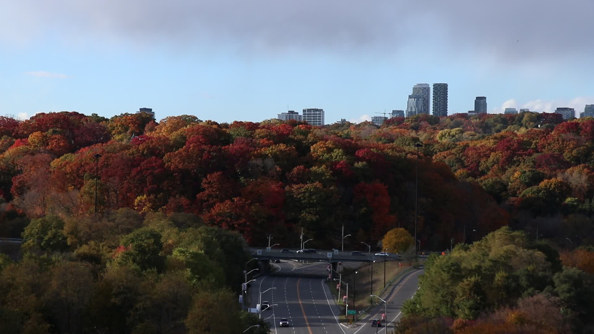 Autumn Weather In Toronto, Canada