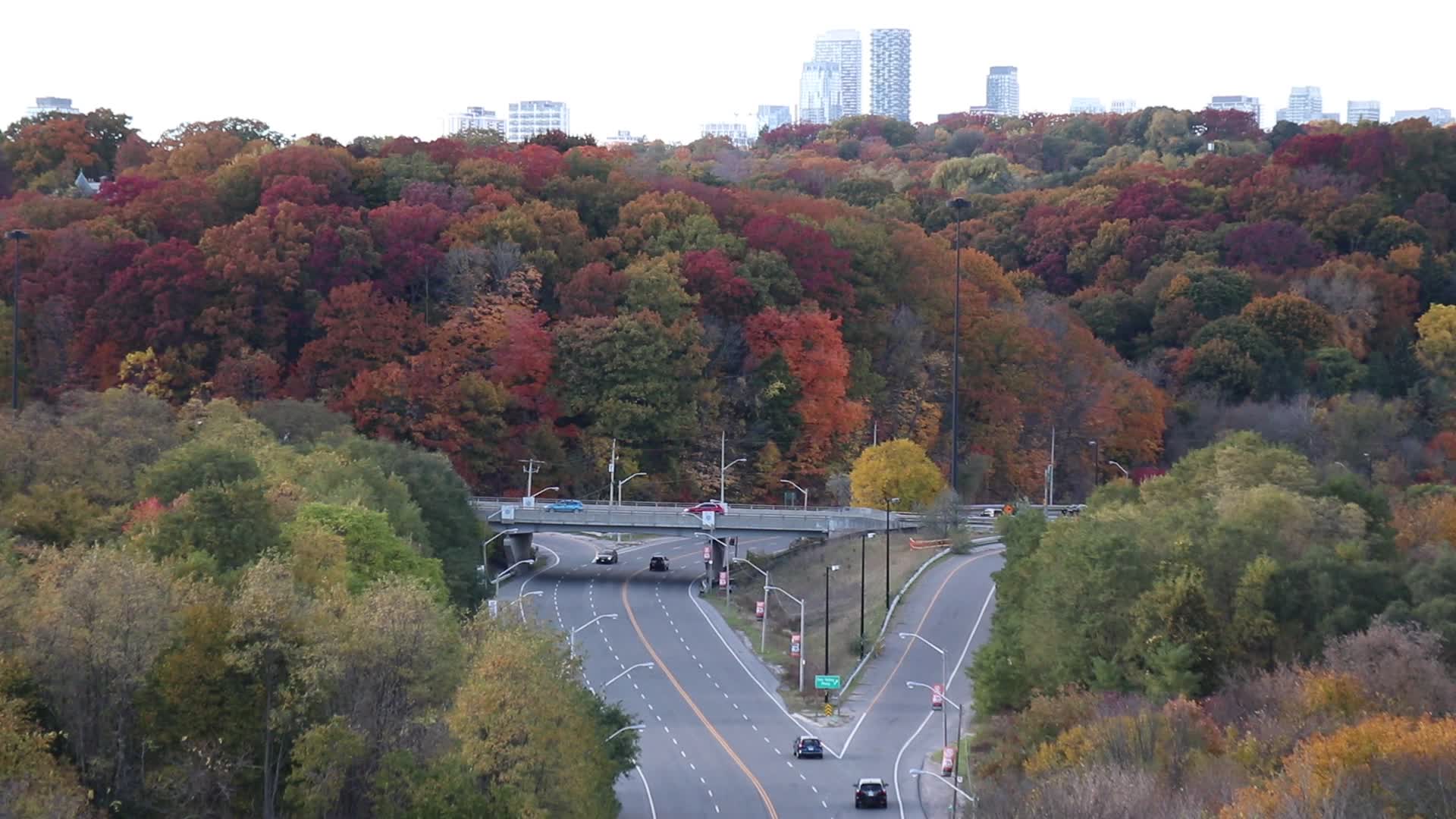 Autumn Weather In Toronto, Canada