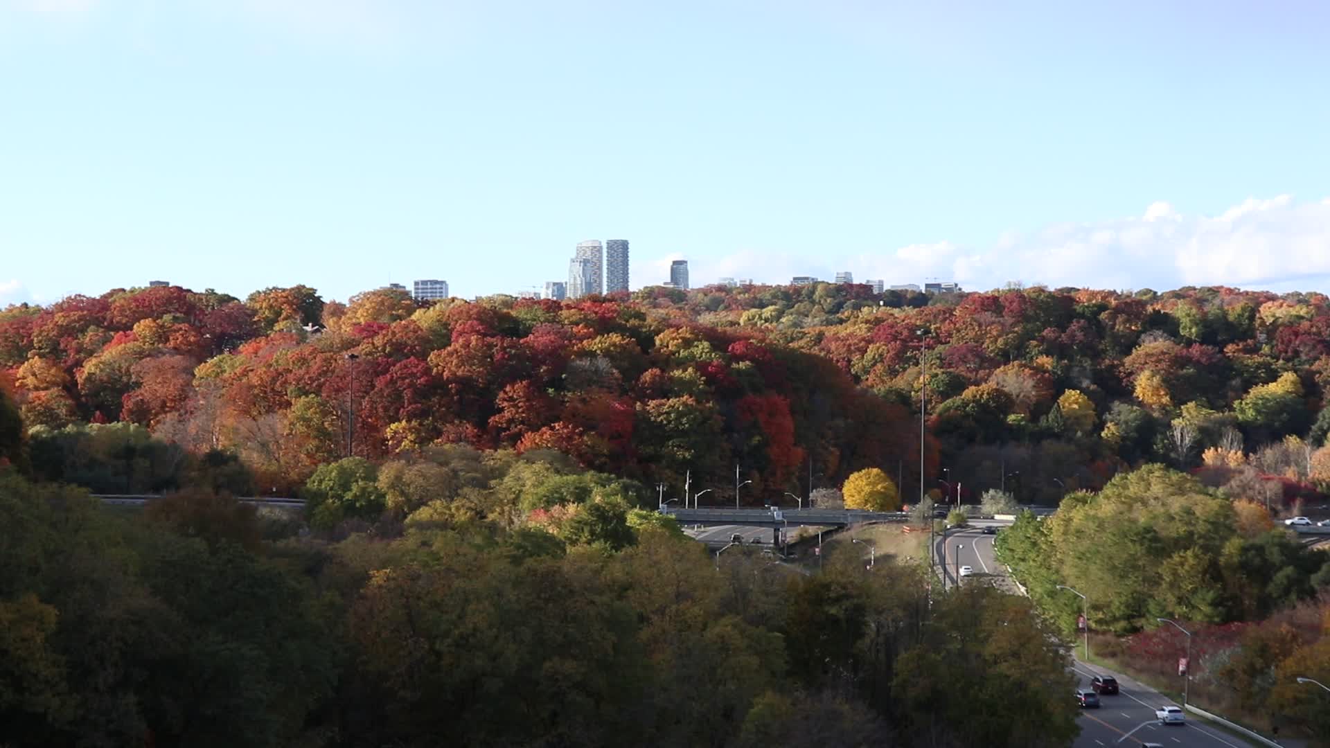Autumn Weather In Toronto, Canada