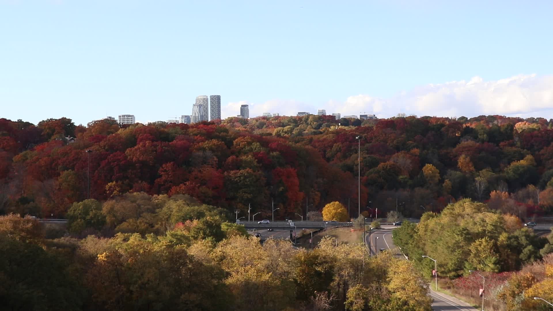 Autumn Weather In Toronto, Canada